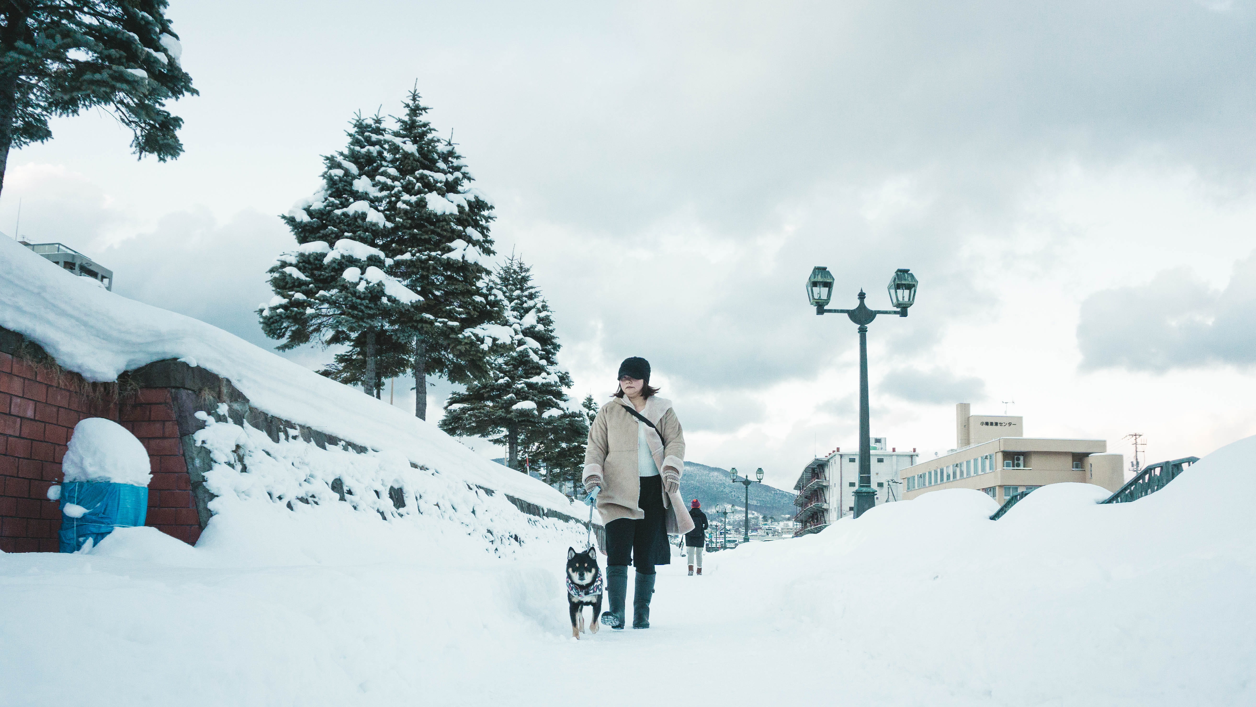 young adult, real people, asian, husky, full length, lifestyles, cold temperature, 5K, architecture, transportation, snow, vacation, winter, warm clothing, HD Wallpaper