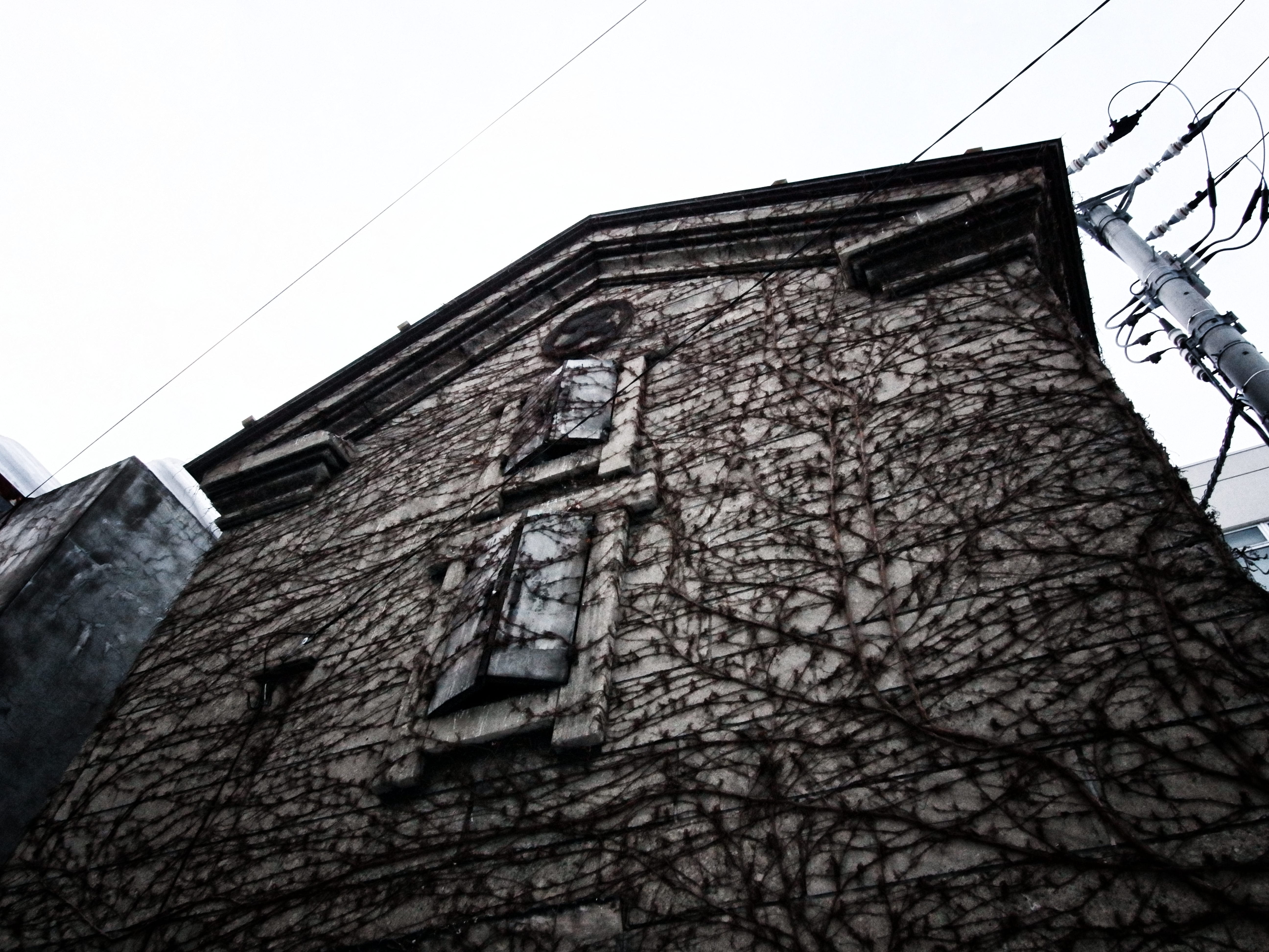 window, built structure, bare tree, low angle view, cable, 5K, old, clear sky, otaru-shi, house, nature, wall - building feature, architecture, sky, building, HD Wallpaper