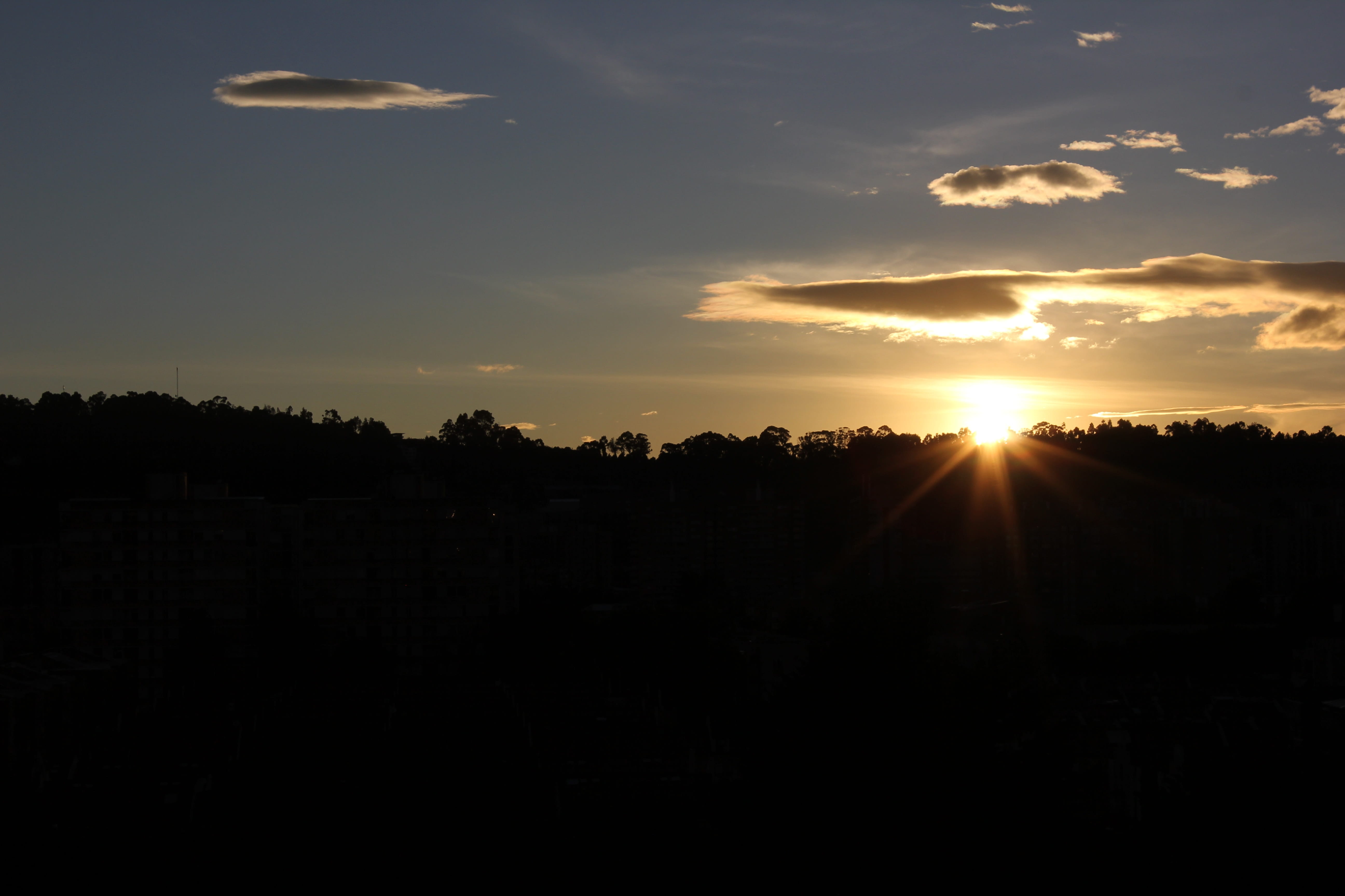 tree, lens flare, orange color, sunbeam, silhouette, sun, cloud - sky, no people, dark, bogotá, sunset, tranquil scene, bogota, outdoors, environment, colombia, HD Wallpaper