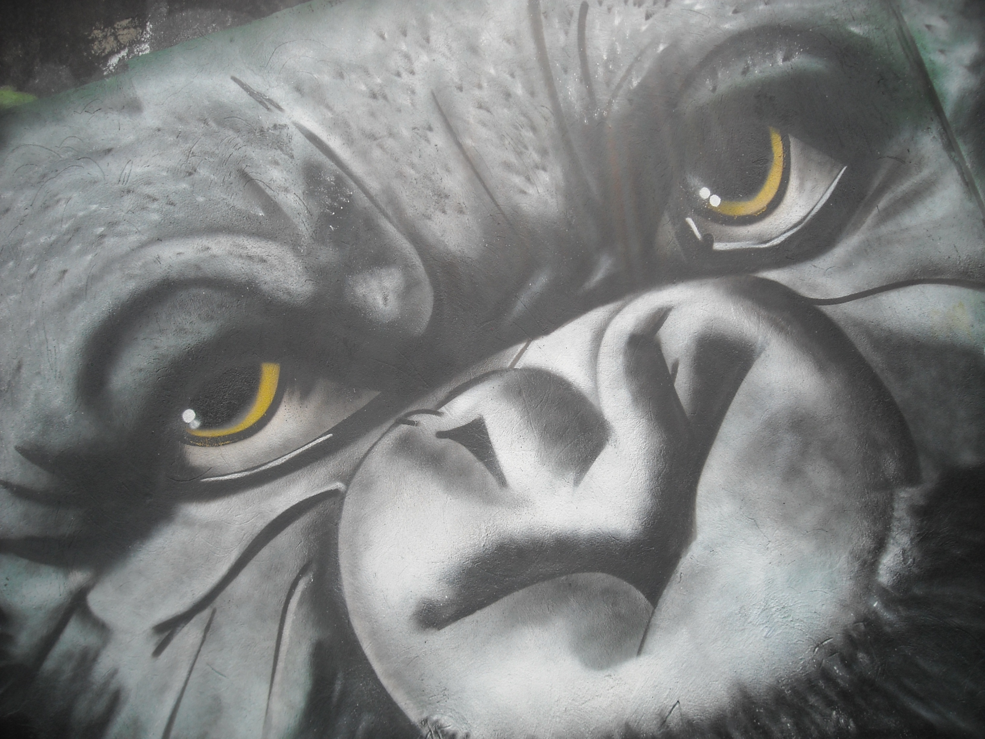 urban art, underwater, graffiti, undersea, bogota, sea life, animal wildlife, marine, animals in the wild, water, portrait, sea, swimming, one animal, colombia, HD Wallpaper