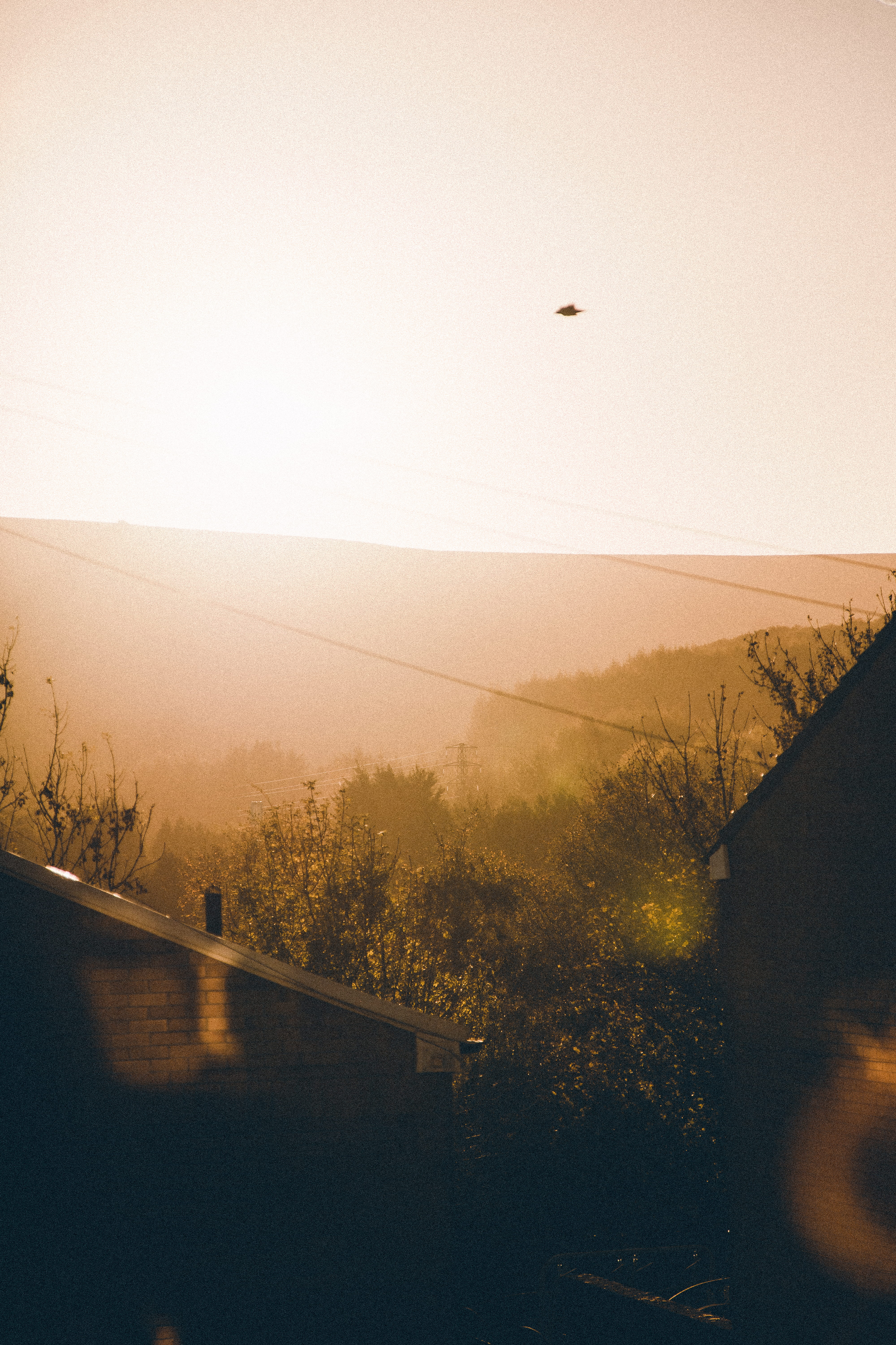 road, house, tranquility, valley, golden hour, flight, sunset, environment, outdoors, landscape, beauty in nature, 5K, background, clear sky, hill, flying, Phone HD Wallpaper