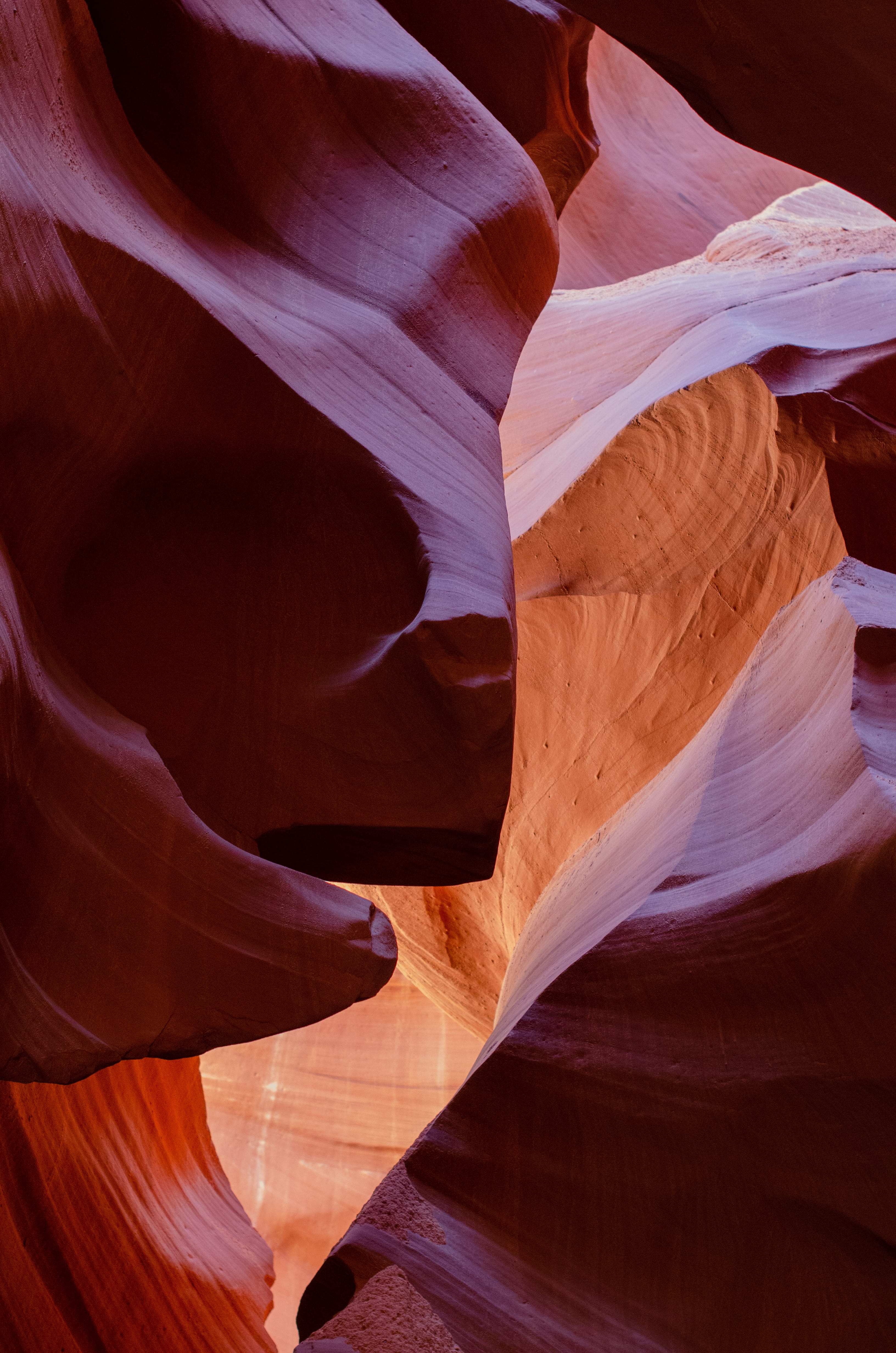 canine, low angle view, mammal, mountain, sandstone, antelope canyon, beauty in nature, valley, travel, canyon, geology, 4K, mesa, rock - object, natural pattern, Phone HD Wallpaper