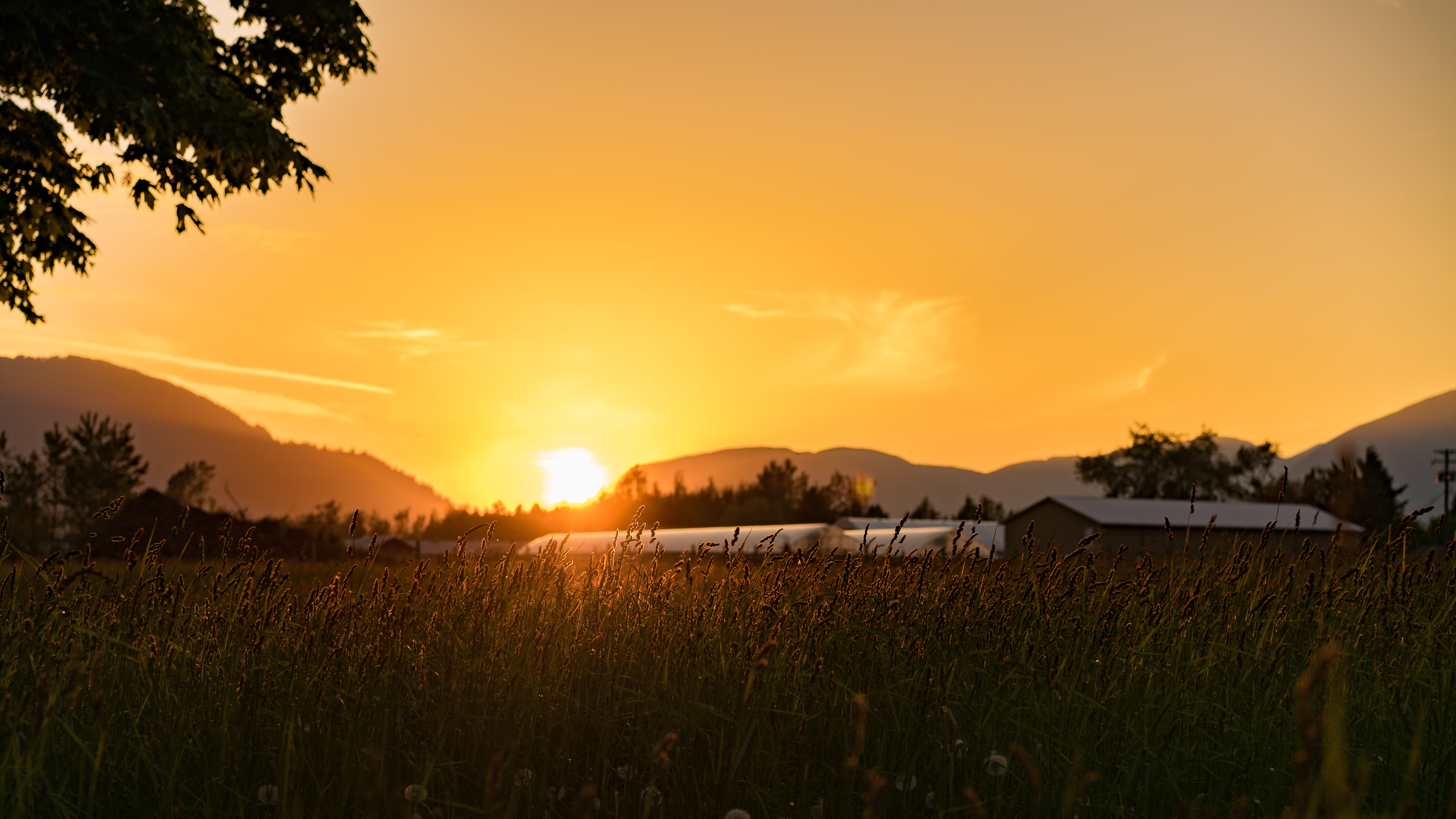 agriculture, sunset, no people, sky, tranquil scene, environment, field, rural scene, farm, golden, nature, cloud - sky, sun, beauty in nature, orange color, HD Wallpaper