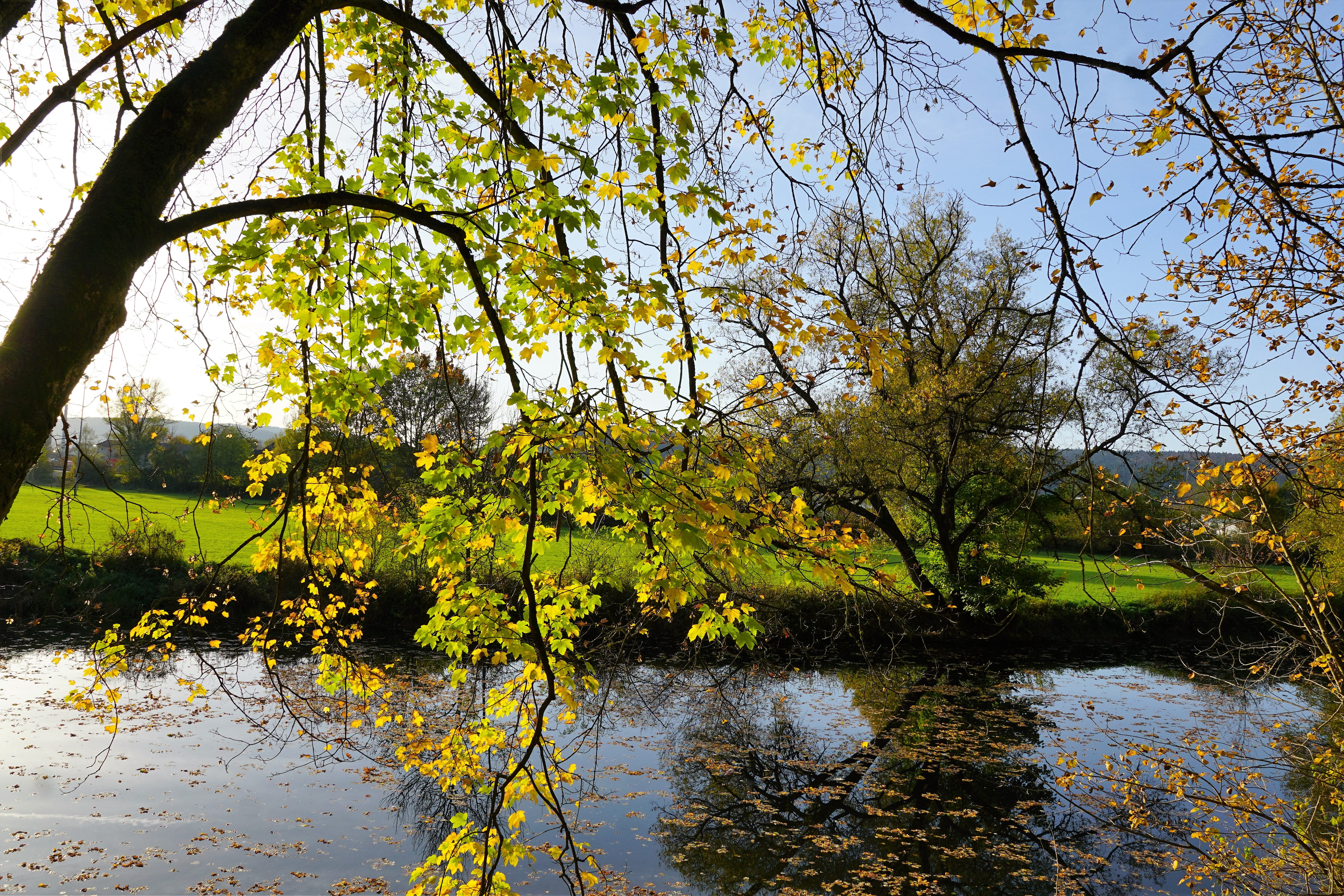 holidays, meditation, vienna, bank, tuttlingen, mirroring, tranquil scene, autumn mood, summer, no people, river, leaves, sun, lake, danube valley, straight, HD Wallpaper