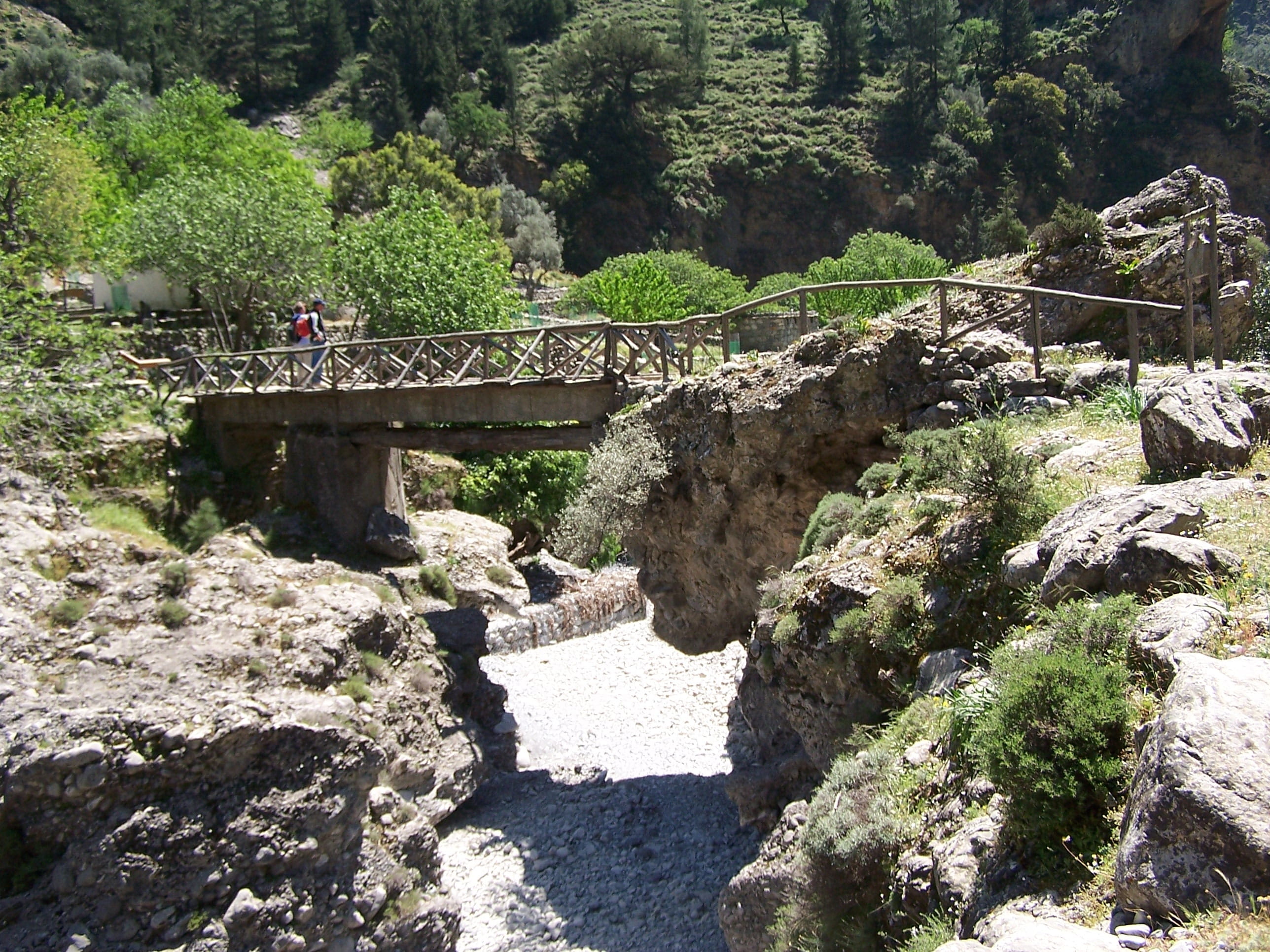 crete, plant, footbridge, solid, bridge - man made structure, rock, beauty in nature, day, sunlight, outdoors, incidental people, connection, growth, tree, HD Wallpaper