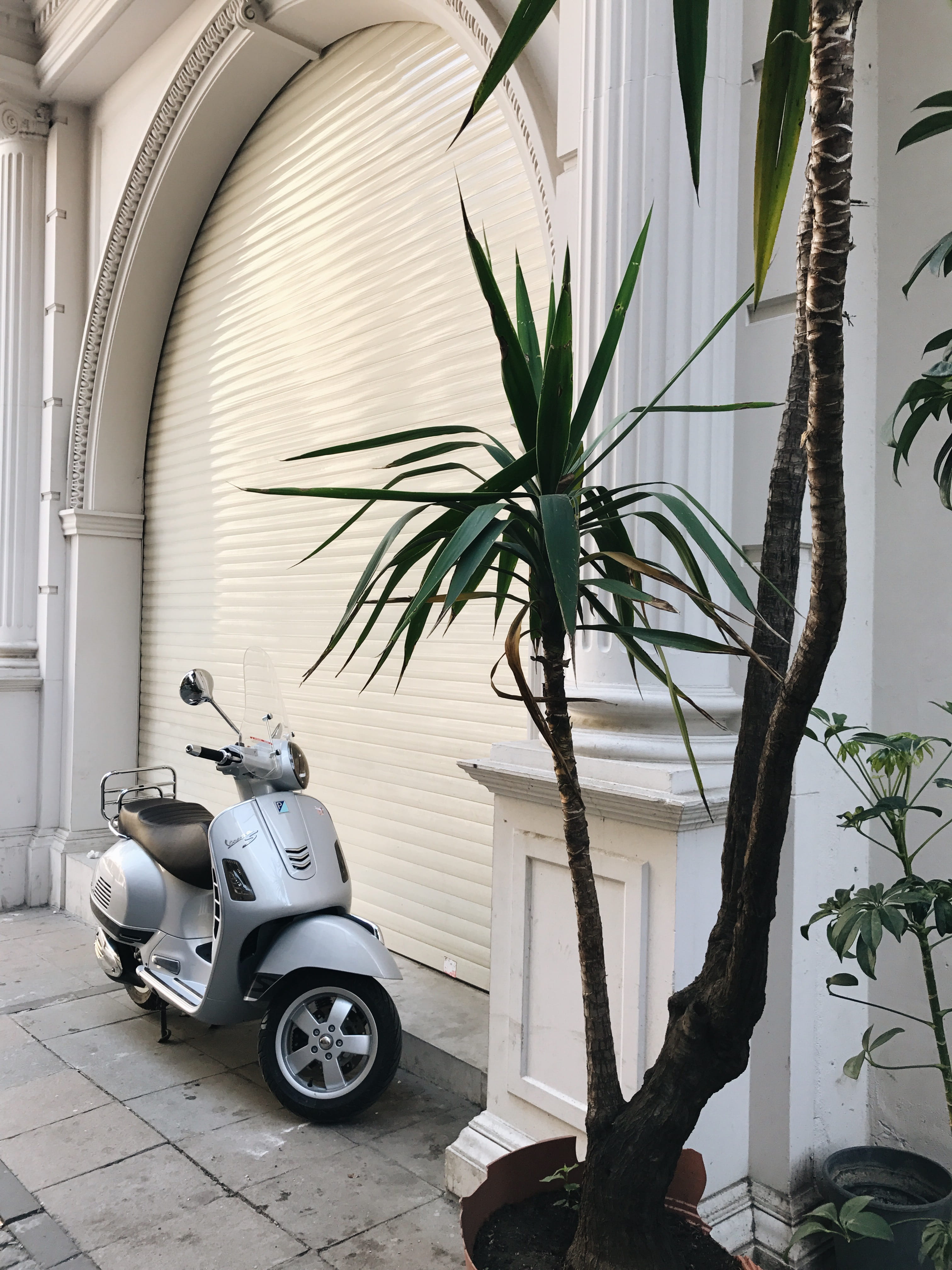 parked, nature, motor vehicle, roller shutter, roller, motor scooter, built structure, day, motor, scooter, mode of transportation, window, plant, plant part, Phone HD Wallpaper
