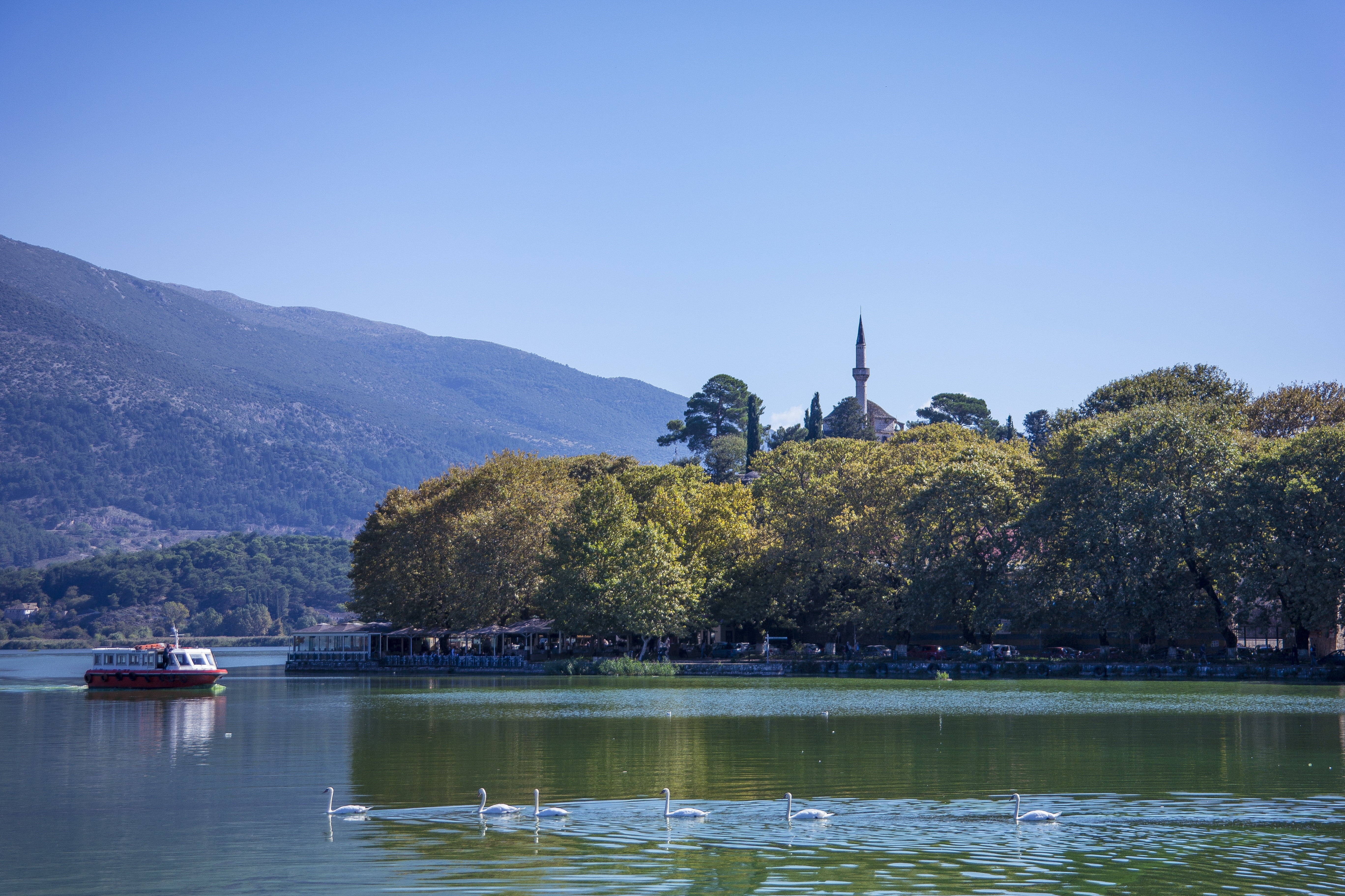 clean, tree, 5K, reflection, mosque, outdoors, plant, day, water, architecture, no people, summer, clear sky, sky, plane trees, mode of transportation, HD Wallpaper