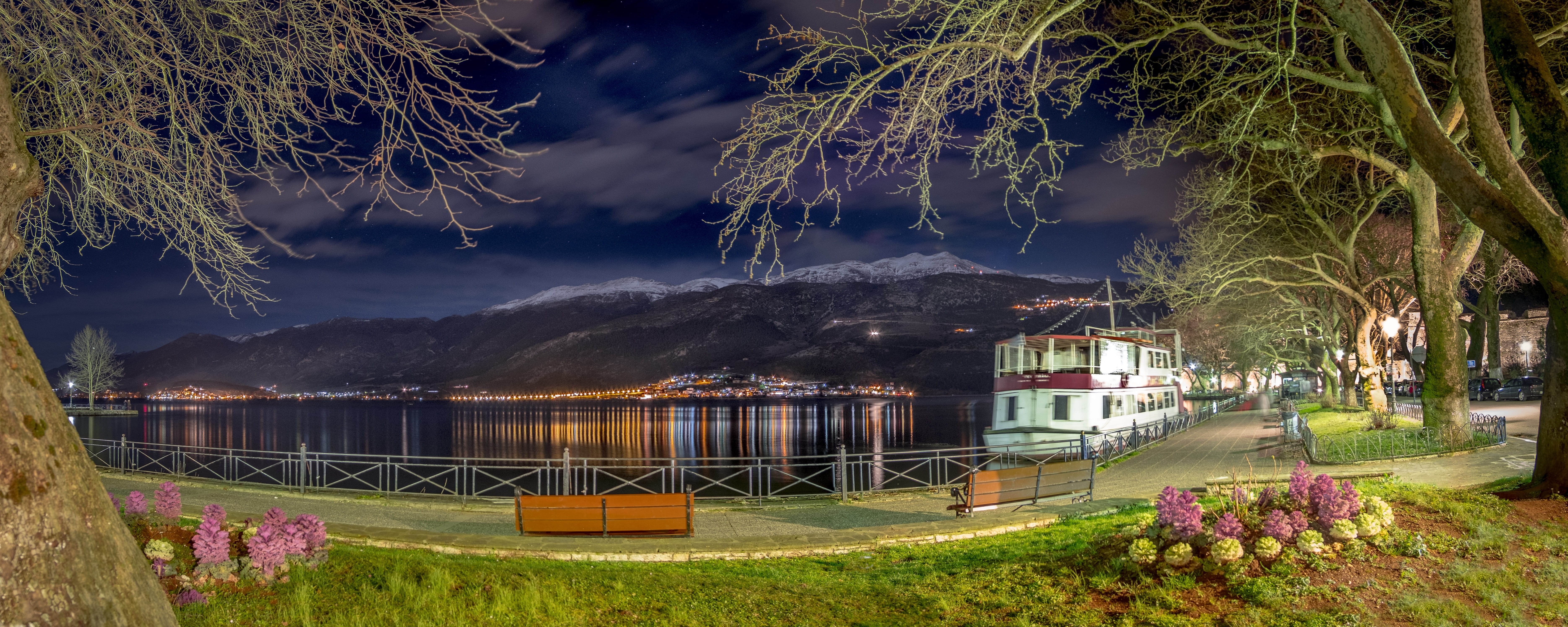 night, flowering plant, no people, cloud - sky, grass, 5K, flower, tree, outdoors, lake, ship, nature, beauty in nature, pier, city, architecture, purple, HD Wallpaper