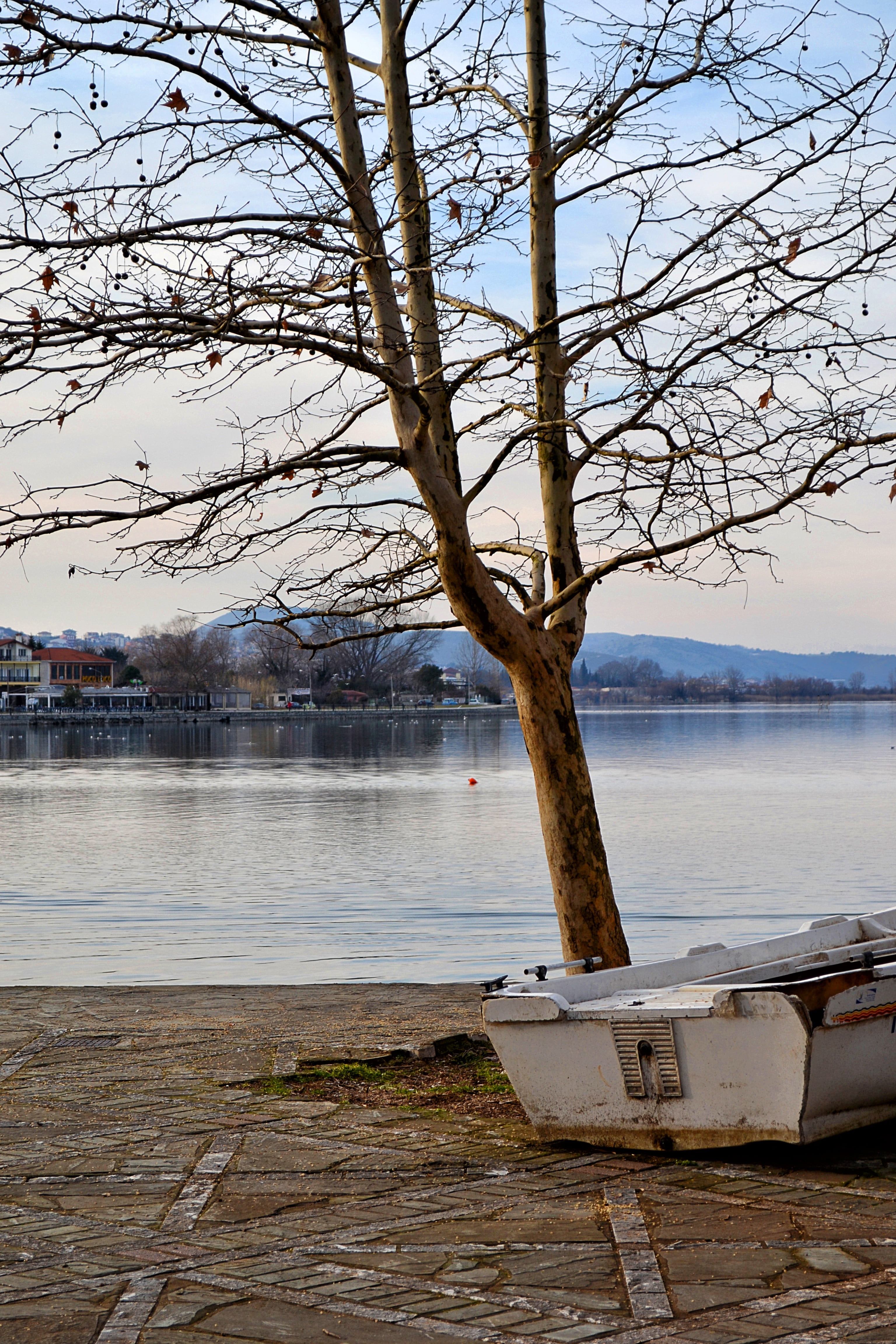 trunk, outdoors, nature, plant, branch, tranquility, sky, no people, greece, tree, boat, lake, bare tree, mode of transportation, tree trunk, nautical vessel, Phone HD Wallpaper