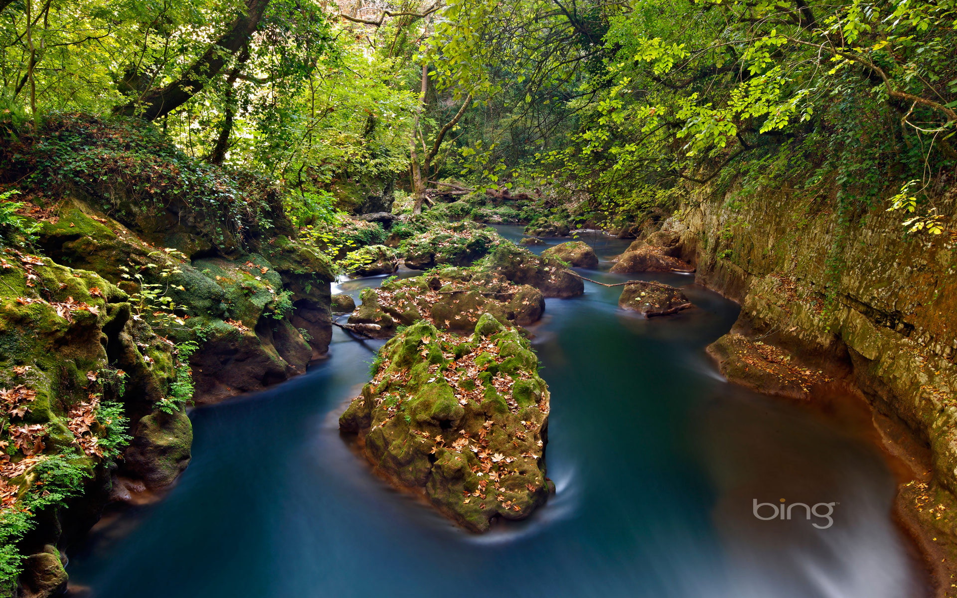 1080P, stones, forest, Epirus, Ioannina, Thyamis River, river, Greece, HD Wallpaper