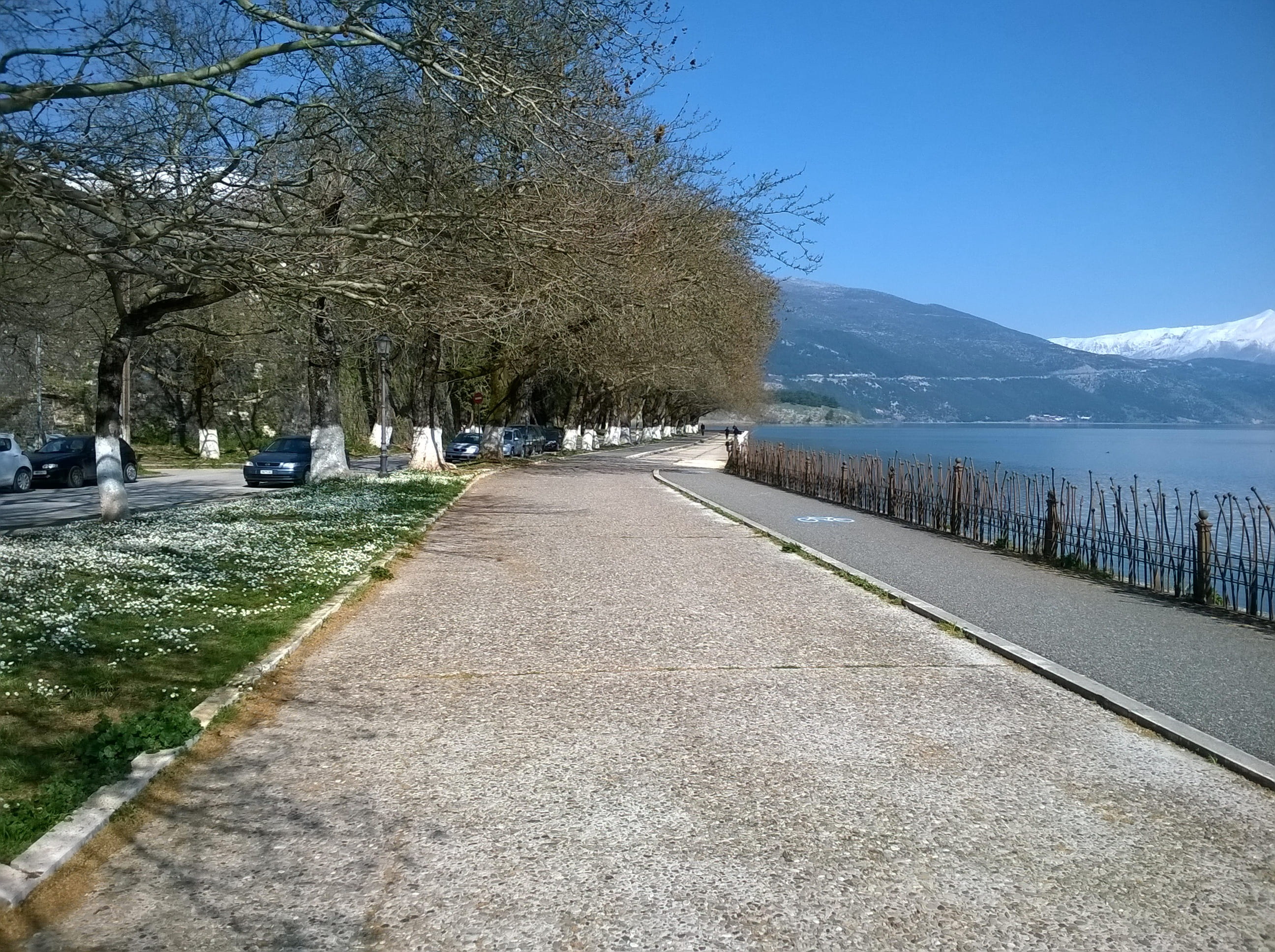 transportation, spring, direction, lake side, plant, snow, no people, treelined, bare tree, diminishing perspective, mountain, road, walk way, snowcapped mountain, HD Wallpaper