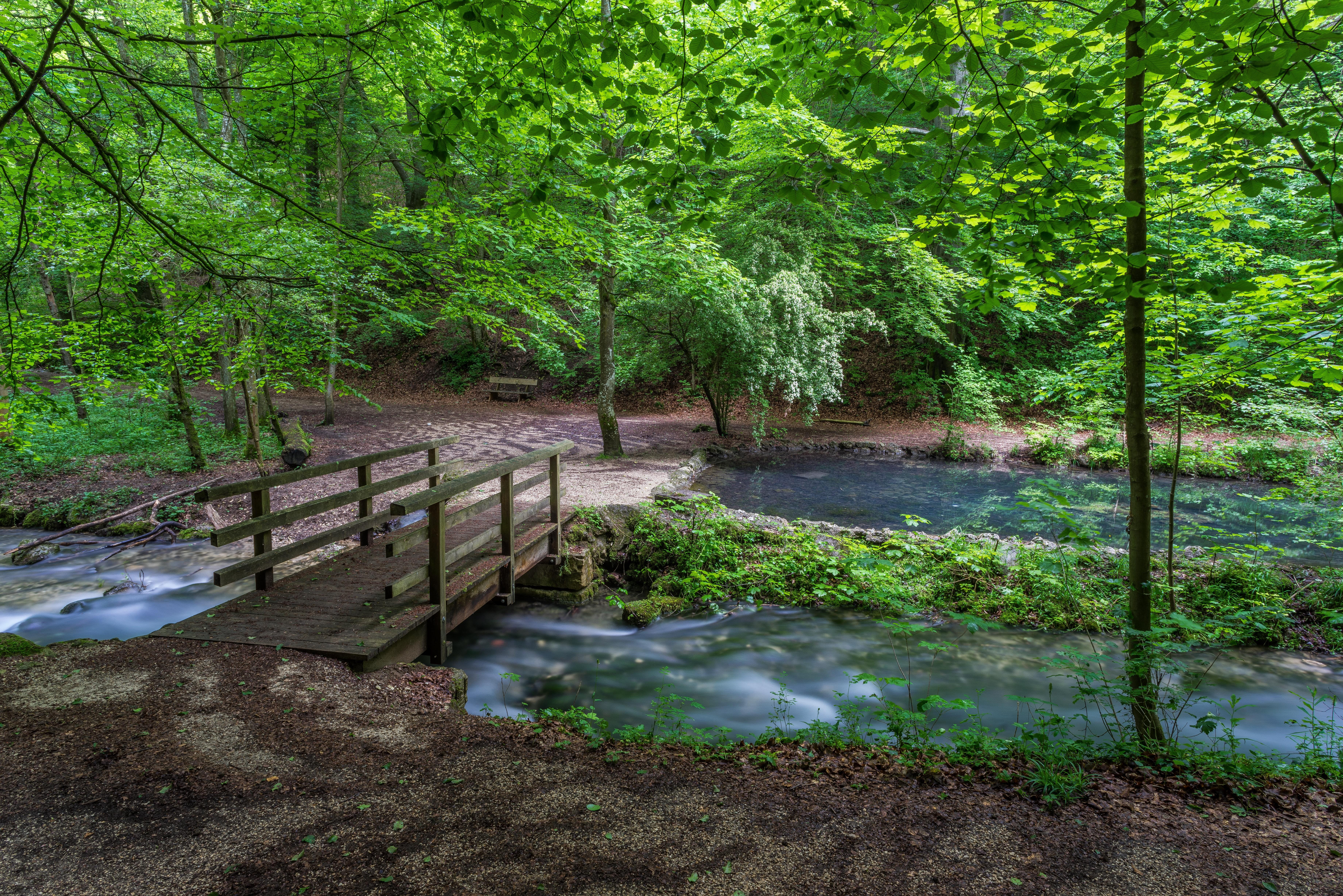 black cooker, nature, stream, environment, footpath, growth, cooker origin, beauty in nature, Aalen, kocher, wooden bridge, non-urban scene, river, trees, HD Wallpaper
