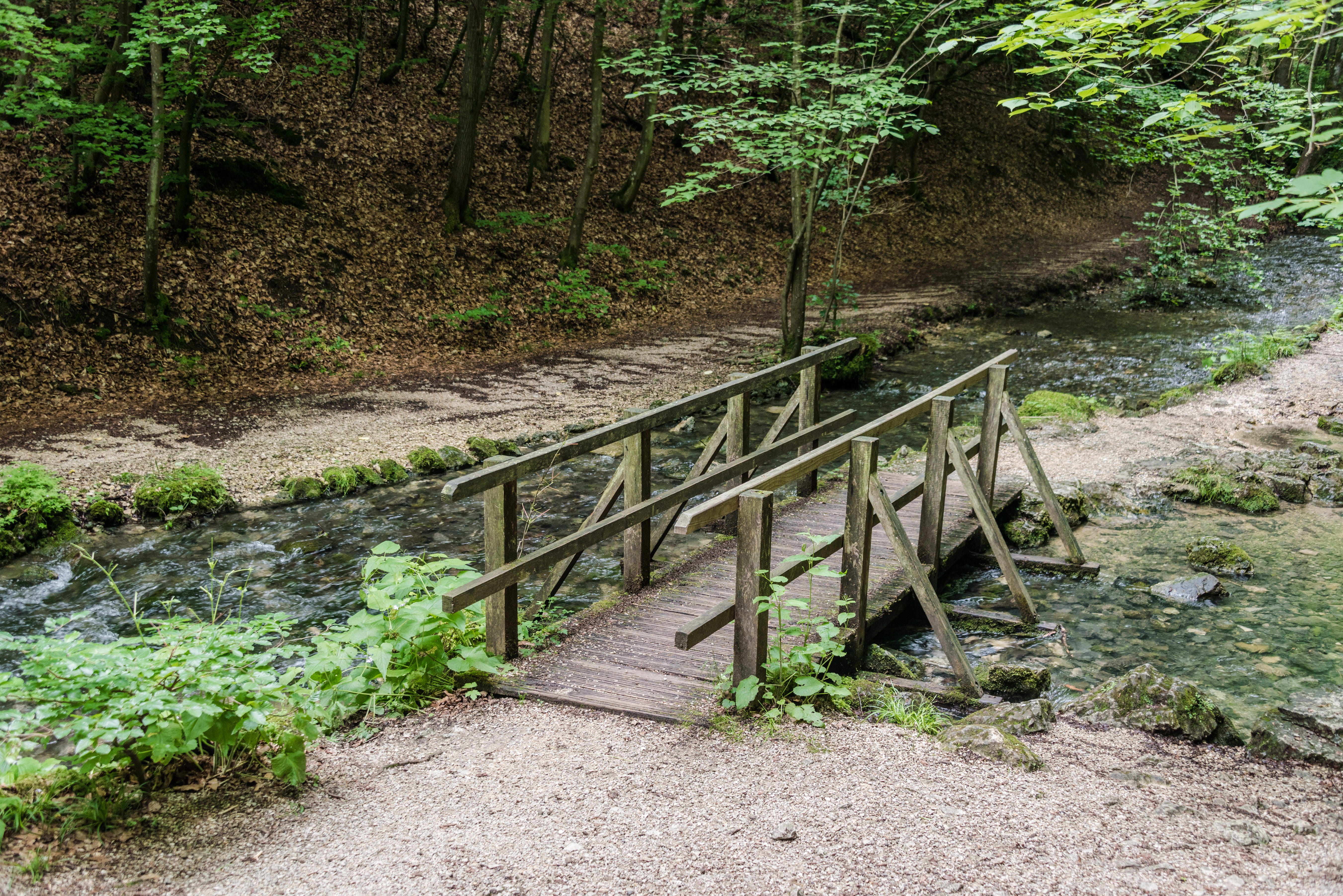 outdoors, fresh, river, no people, footpath, old, cold, tree, bridge, land, under cook, origin, the way forward, footbridge, 5K, green, commercial way, HD Wallpaper