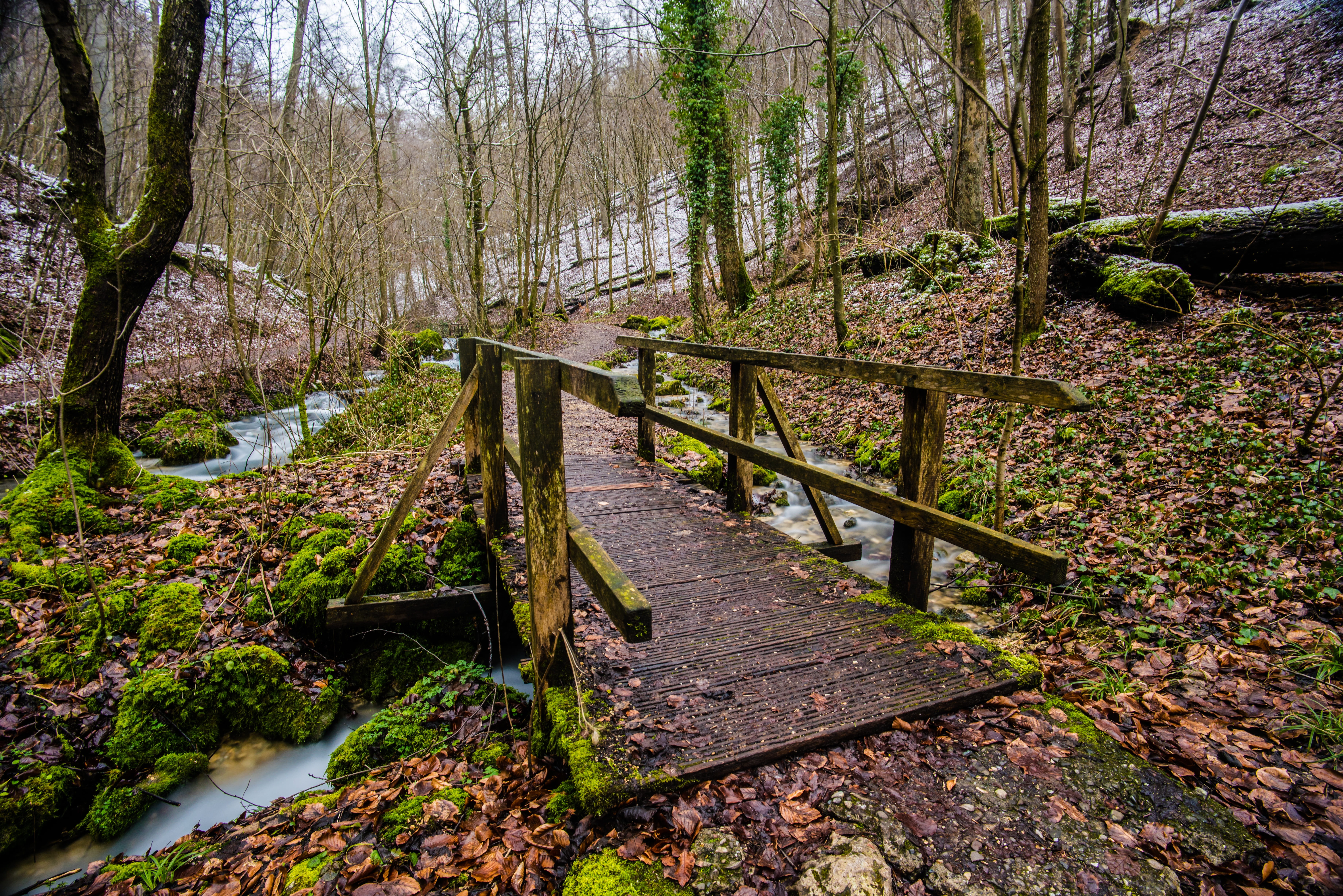 park, origin, frisch, environment, temperature, railing, river, land, baden württemberg, cooker origin, tranquil scene, under cook, wooden bridge, boardwalk, HD Wallpaper