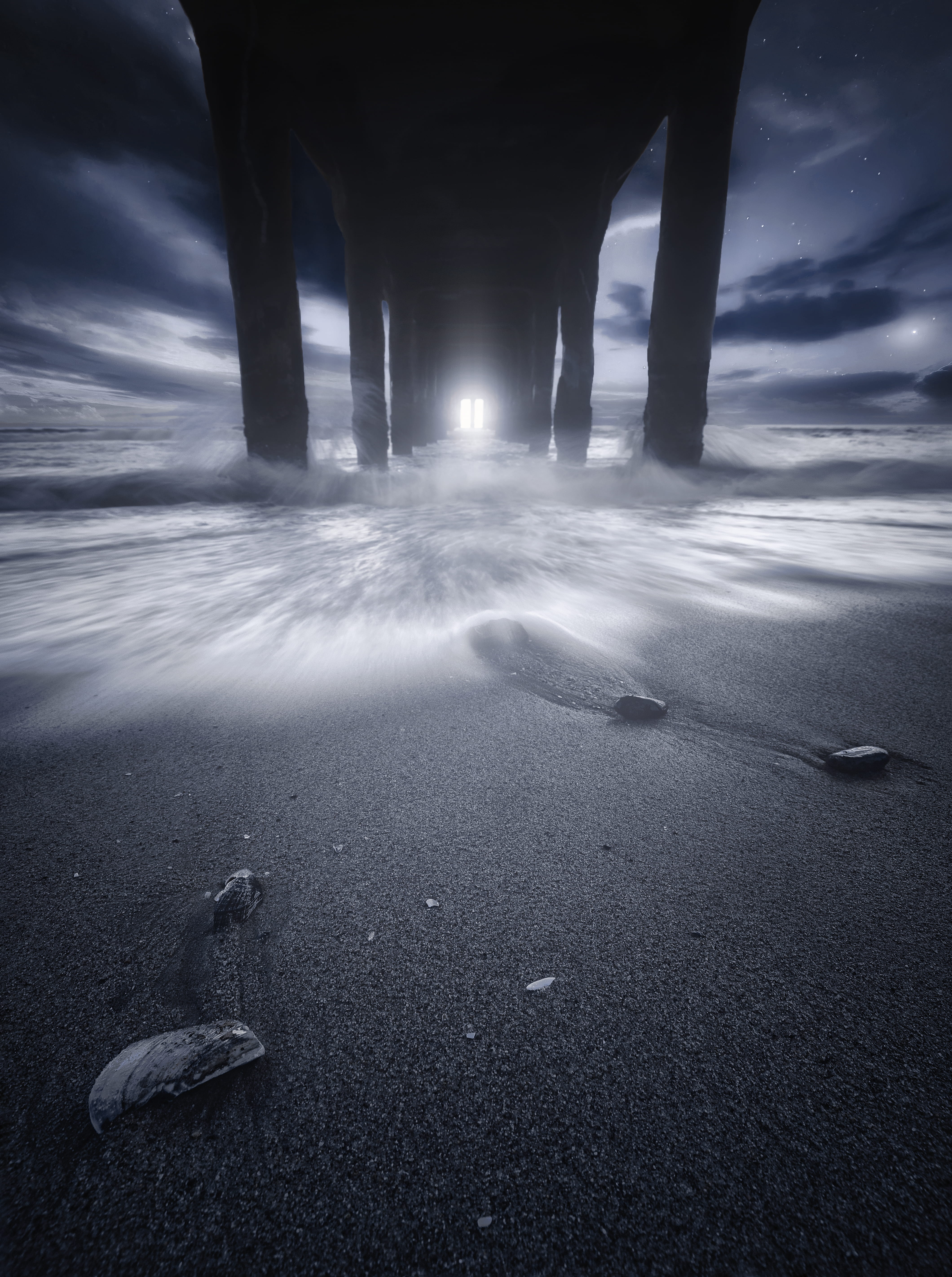 beach, animal themes, no people, scenics - nature, nature, outdoors, day, ocean, dock, animal, bird, grey, night, wooden, low, animal wildlife, time, land, Phone HD Wallpaper