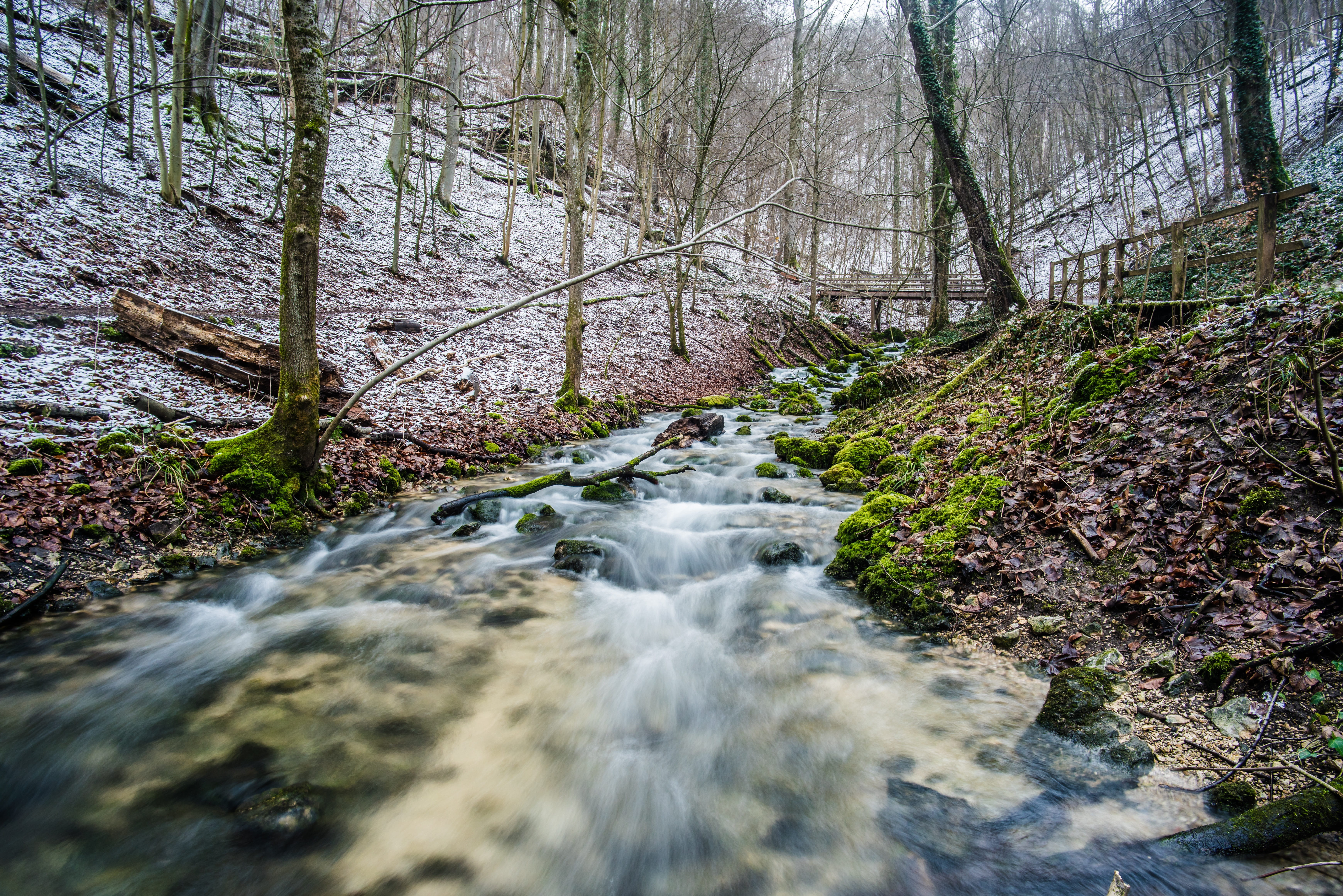 flowing, woodland, motion, nature, cooking origin, 5K, environment, stream - flowing water, landscape, flowing water, creek, river, long exposure, wet, HD Wallpaper