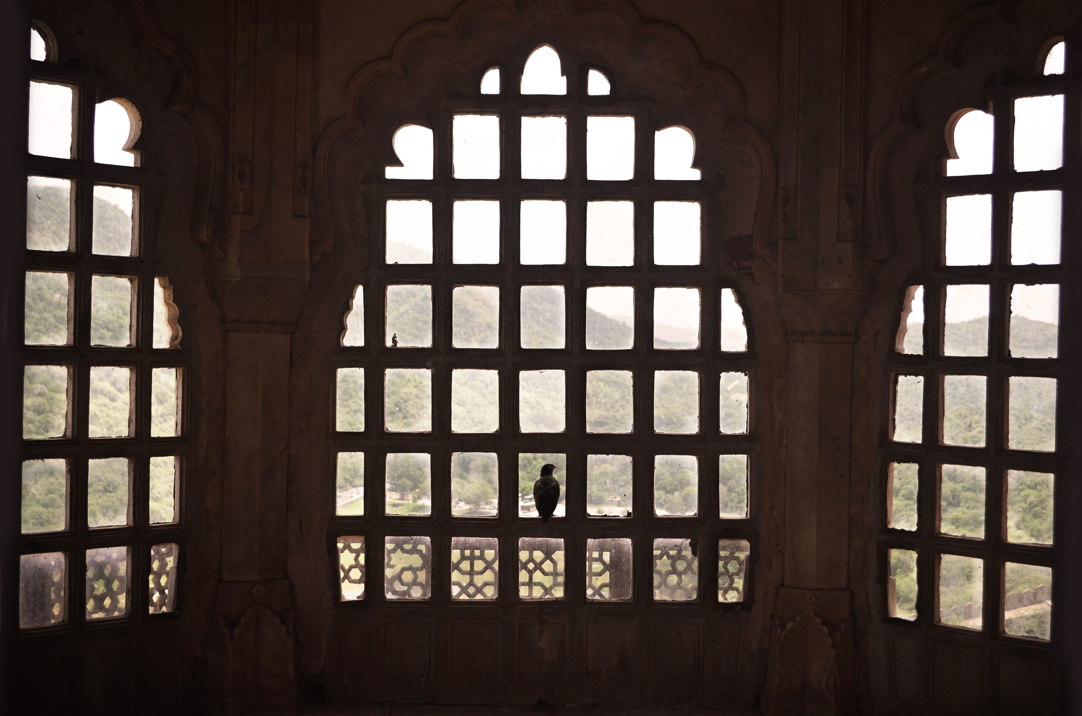 mountain, religion, palace, place of worship, architecture, travel, built structure, bird, view, ornate, window, nature, jaipur, india, old, building, 2K, HD Wallpaper