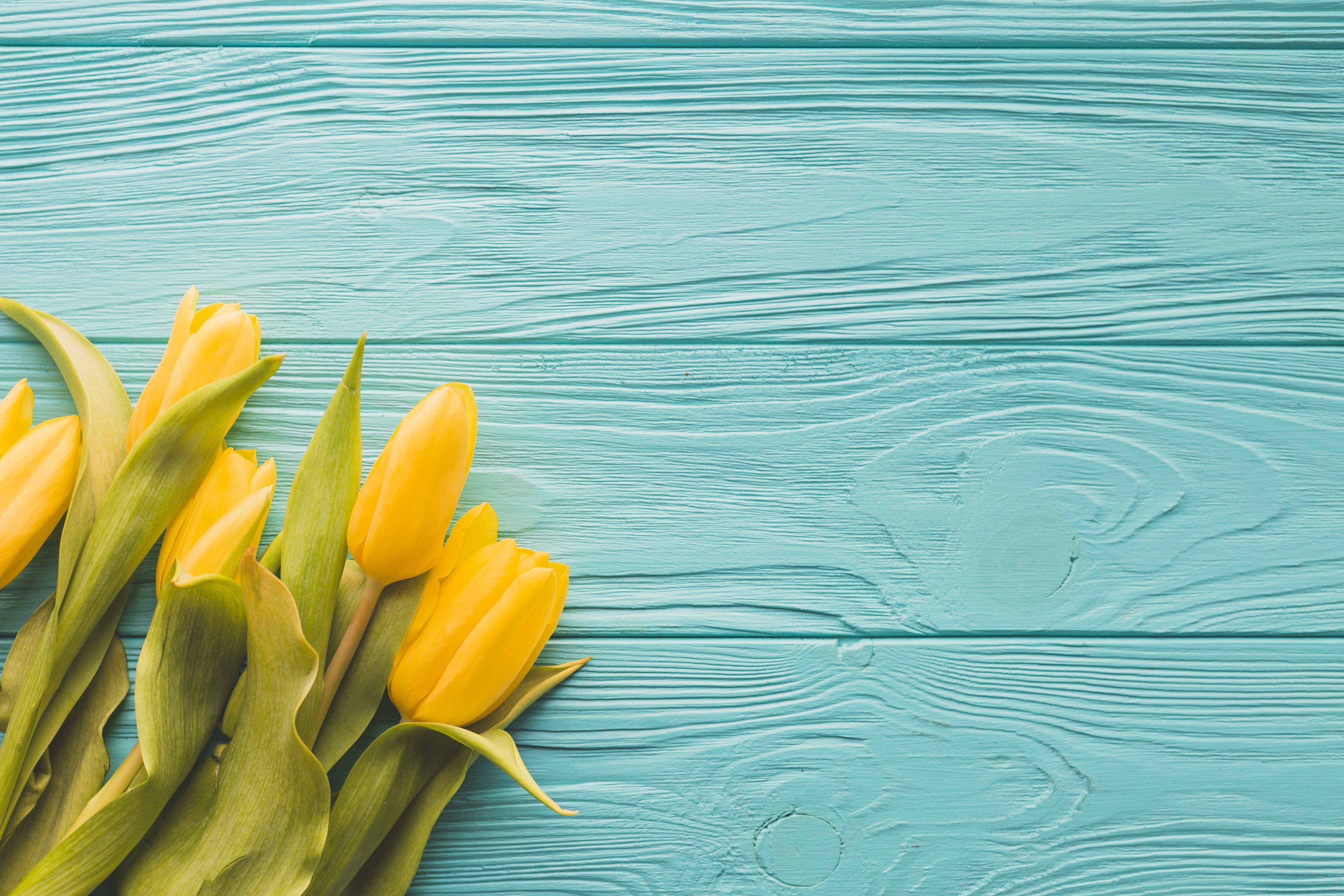 flowers, yellow, tulips, bouquet, 4K, wood, HD Wallpaper