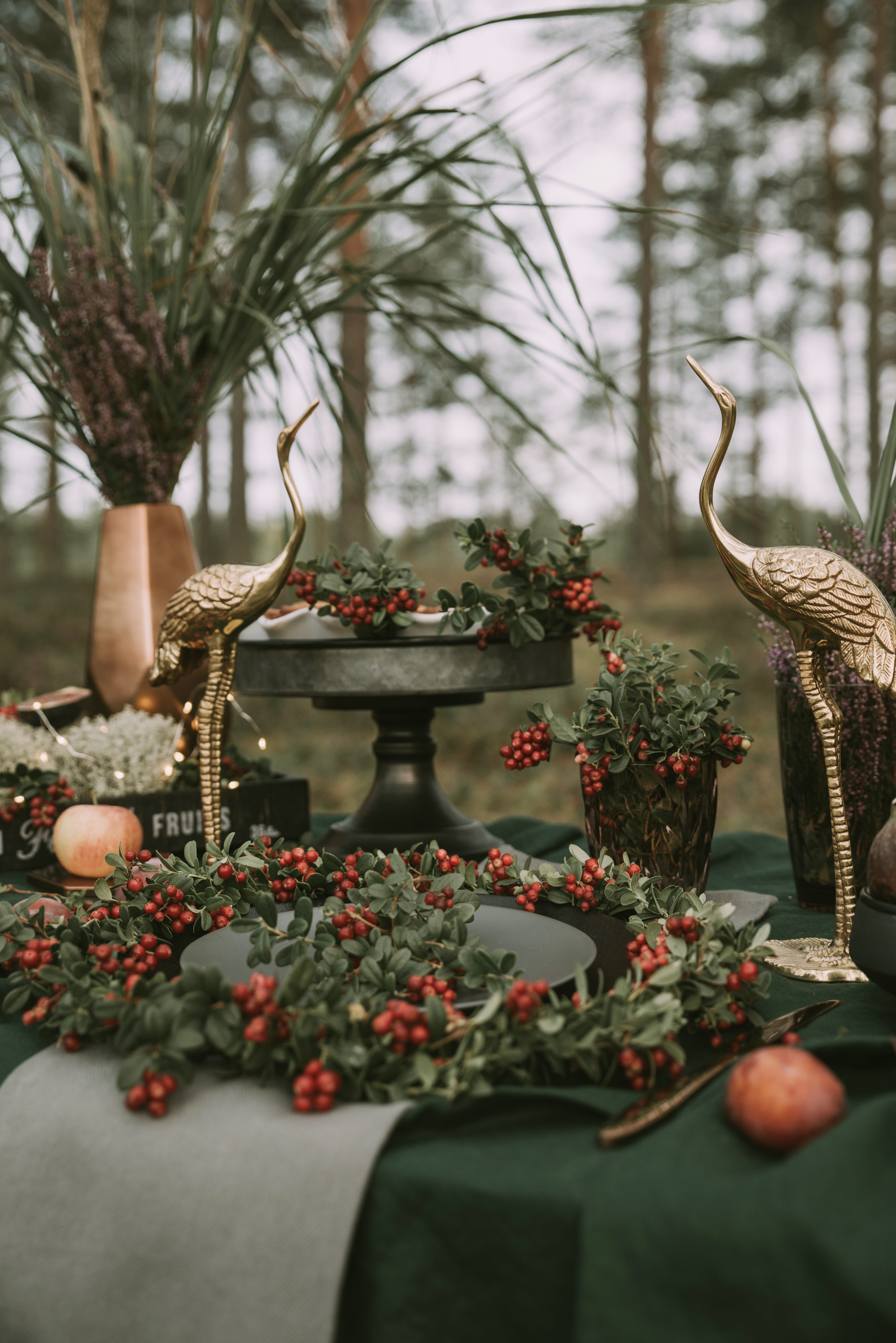 surrounded, close-up, selective focus, flowers, flowering plant, nature, plant, festive, no people, focus on foreground, table top, growth, two, food, day, Phone HD Wallpaper