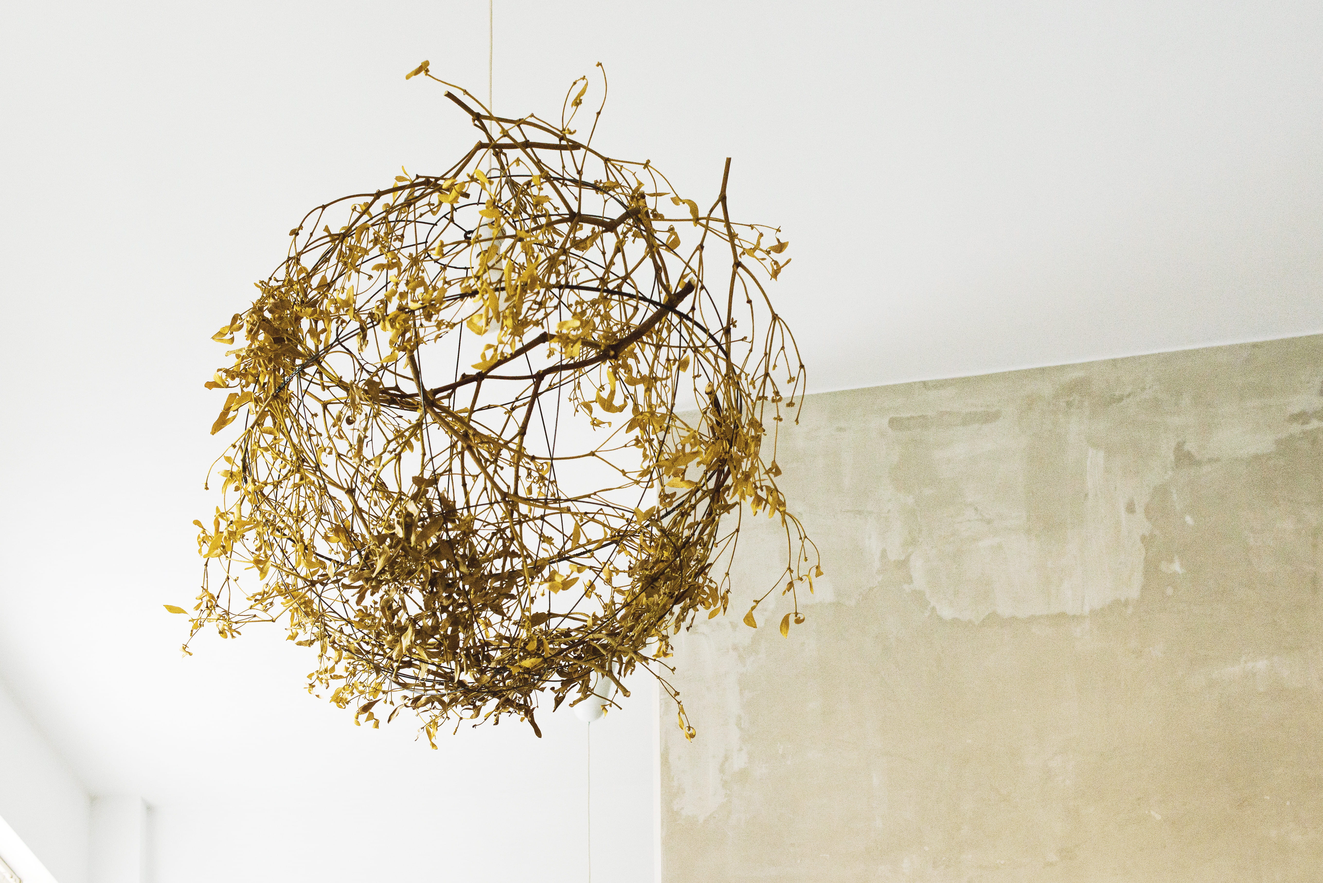 branch, mistletoe, decoration, ceiling, absence, interior, ruined, wall - building feature, green, day, sphere, white color, copy space, low angle view, HD Wallpaper