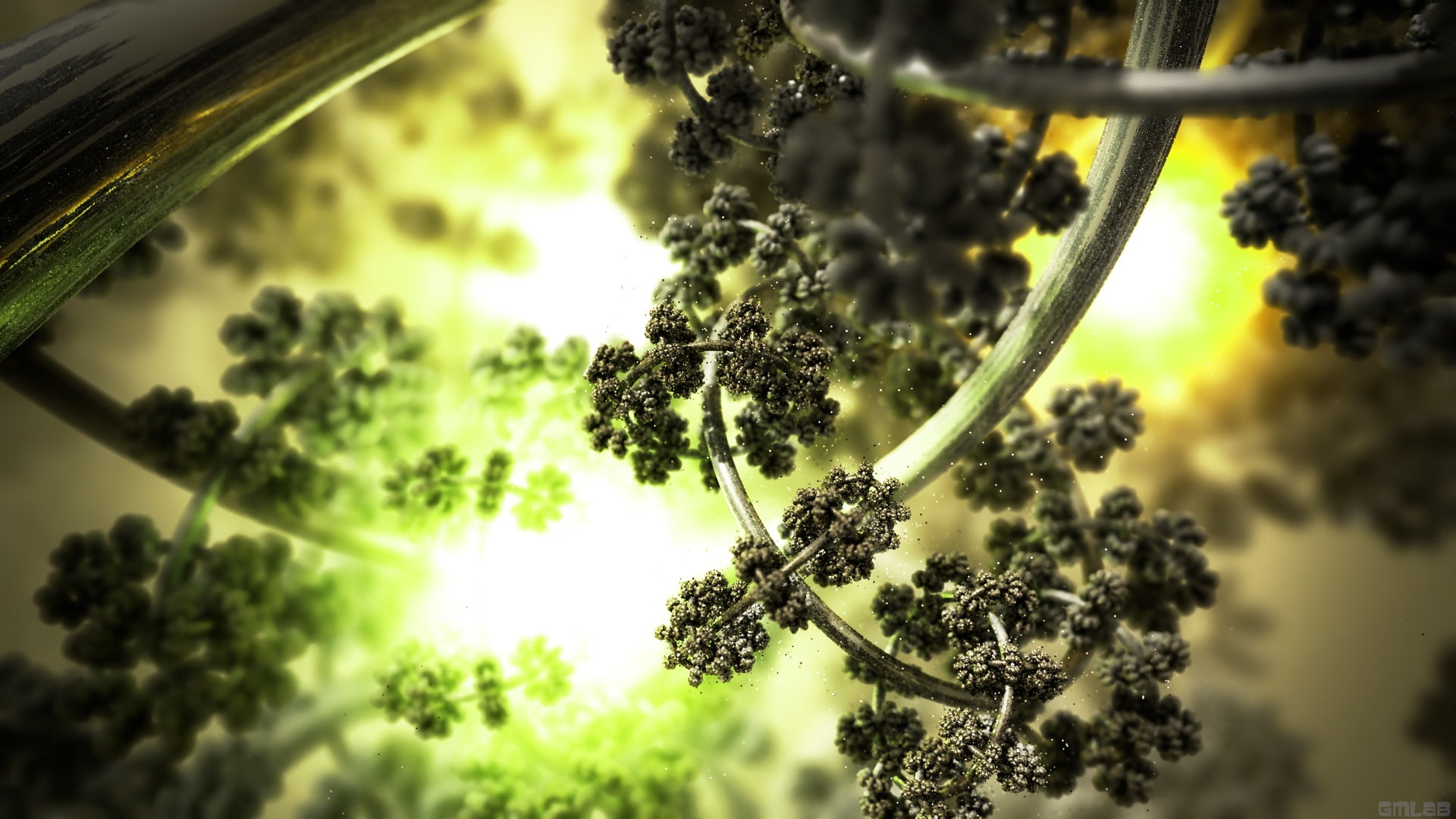 mistletoe, 1080P, virtuality, HD Wallpaper