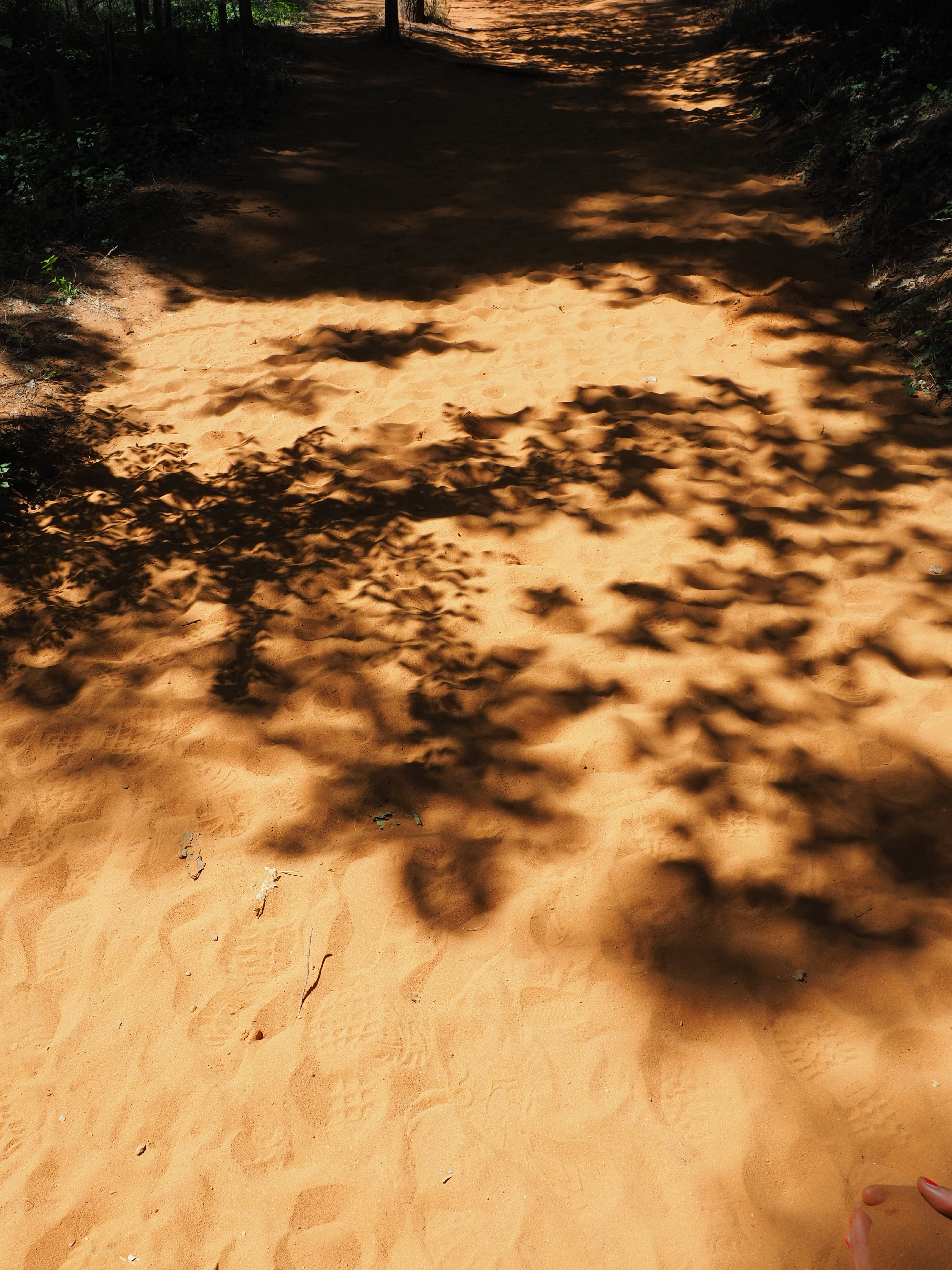 4K, traces, tranquility, shadow play, field, light and shadow, footprints, beauty in nature, sunlight, shoe sole imprint, sand road, sand, motion, outdoors, Phone HD Wallpaper