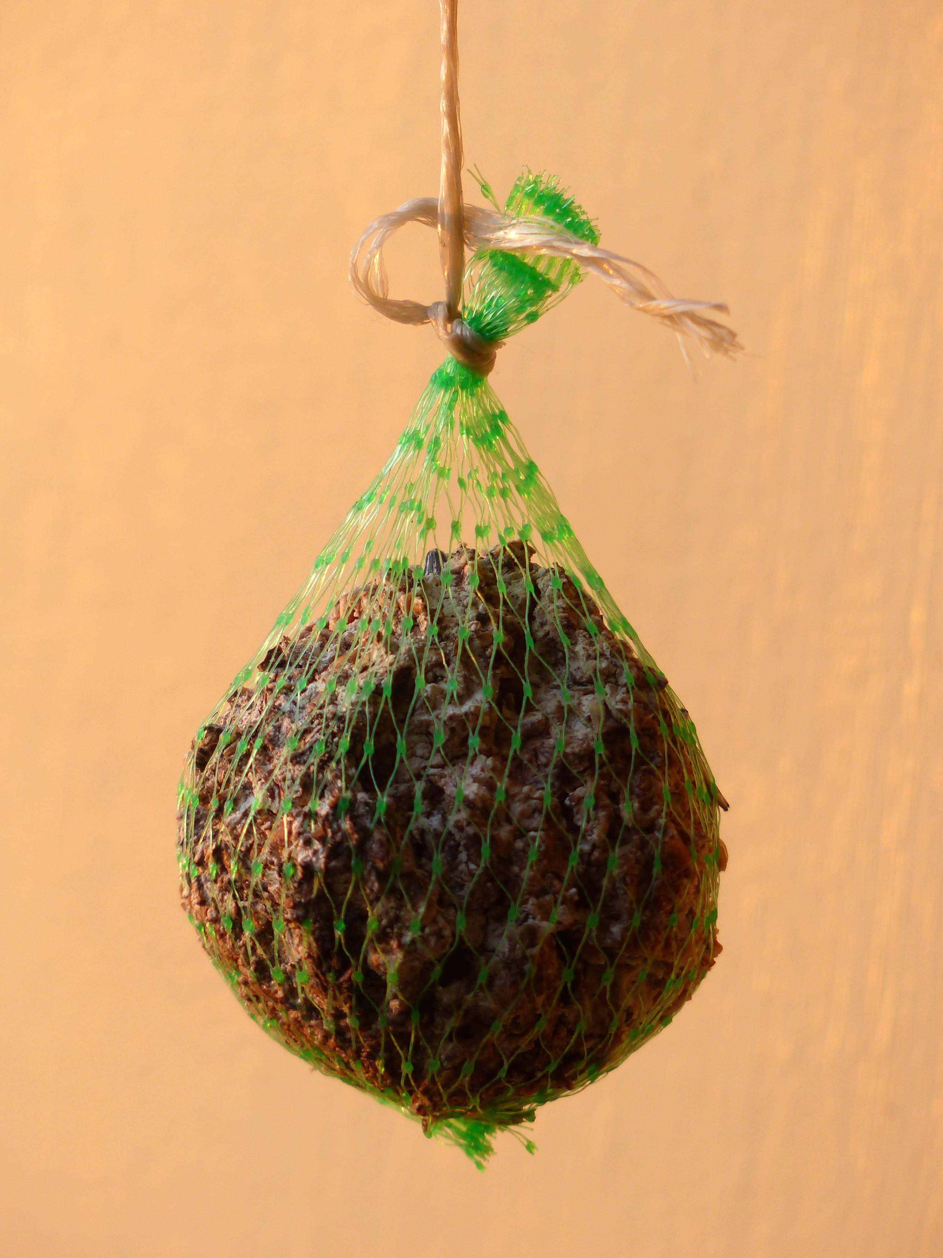 tropical fruit, ripe, freshness, still life, single object, focus on foreground, wellbeing, Eat, studio shot, healthy eating, no people, network, Bird Seed, Phone HD Wallpaper