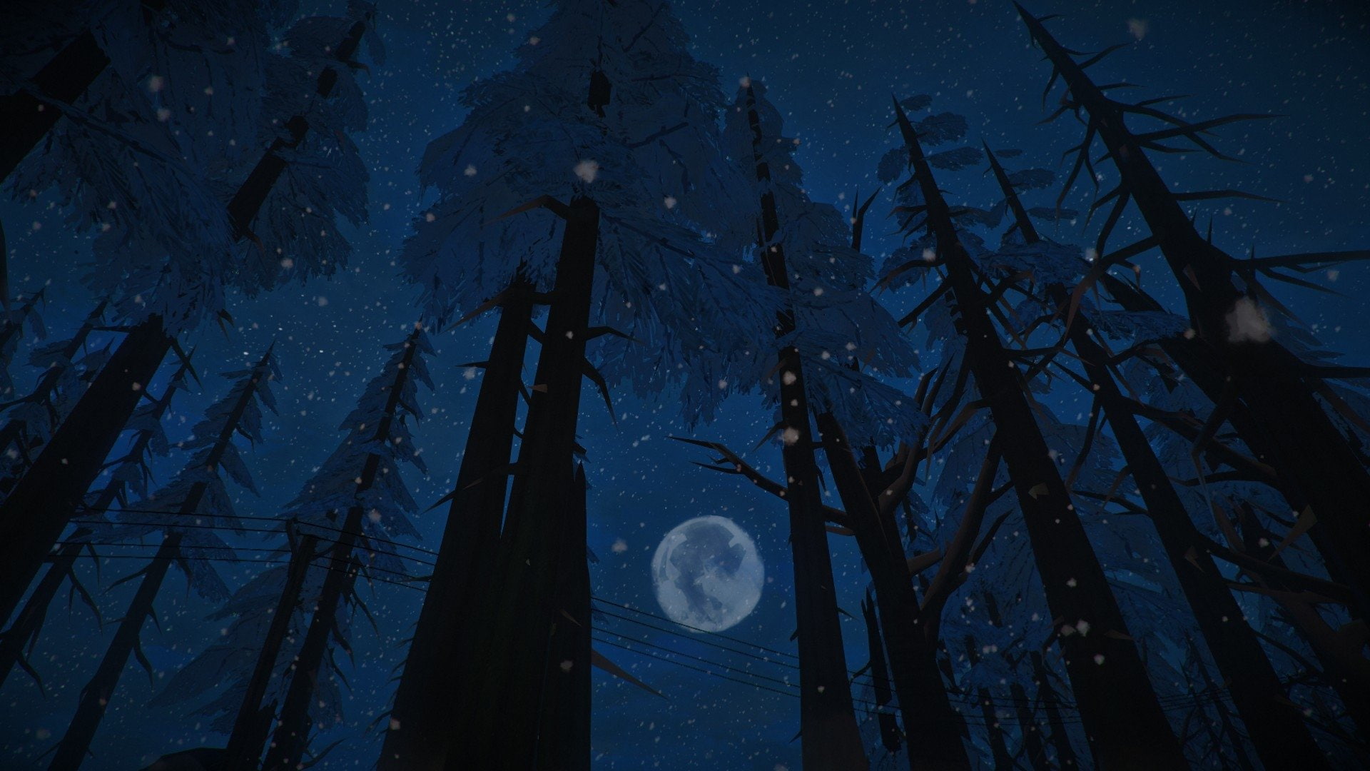 The Long Dark, Night, Forest, Pine, Video Game, Moon, Wood, 1080P, HD Wallpaper