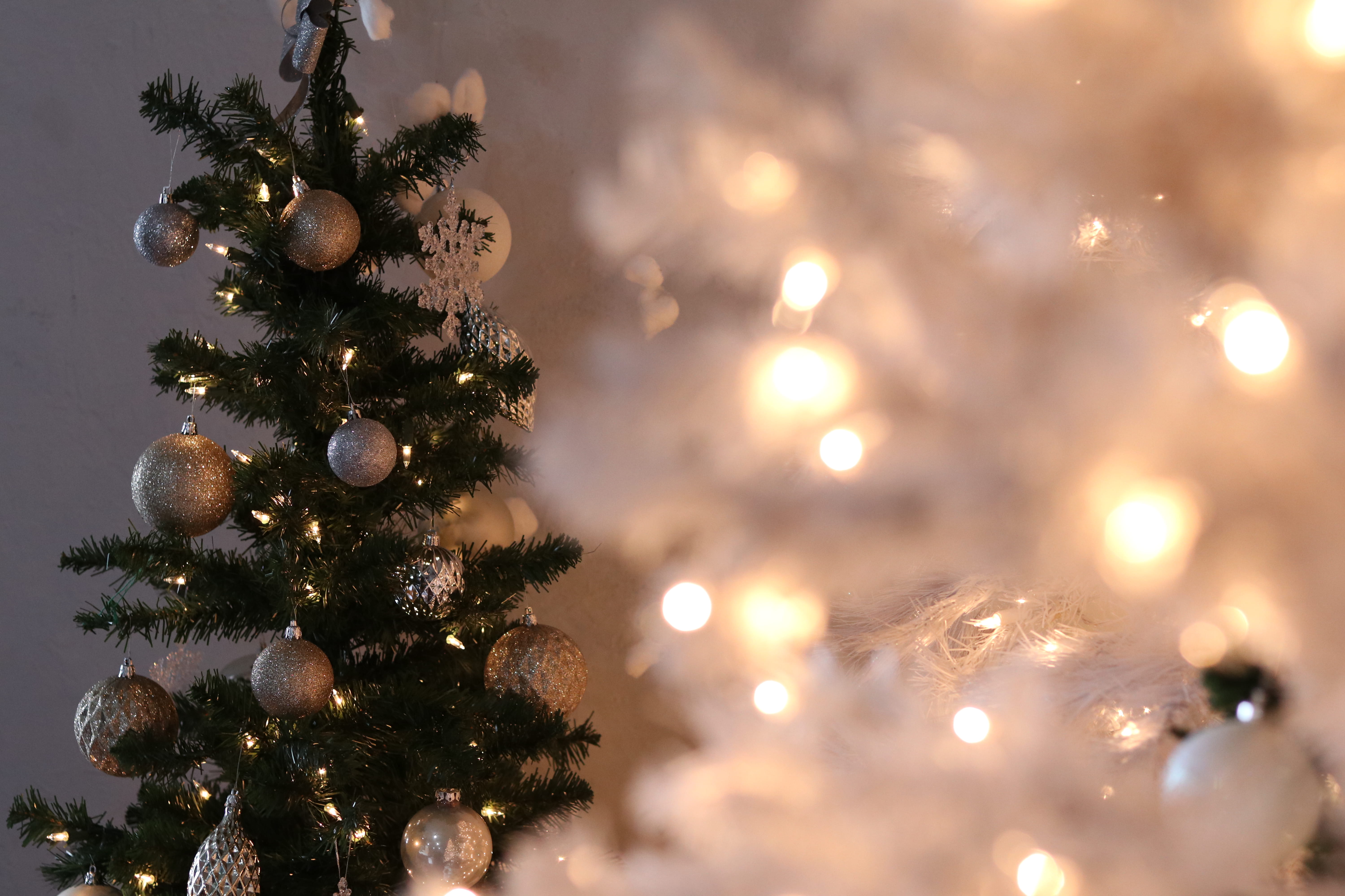 fir tree, close-up, holiday - event, no people, fresno, adventure community church, silver, event, lighting equipment, christmas decoration, christmas tree, HD Wallpaper