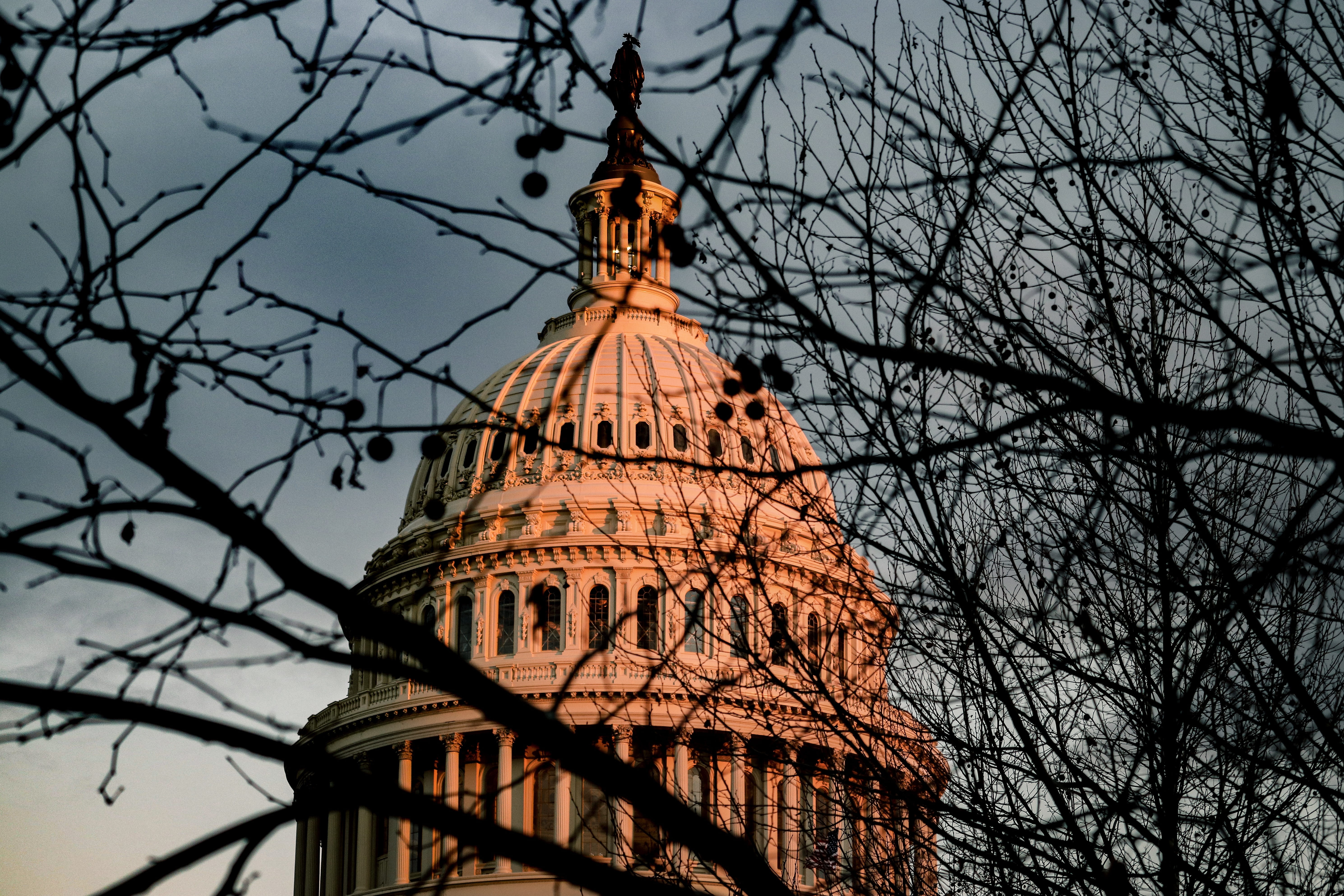 wahongton dc, place of worship, sky, tower, religion, government, city, tree, sunset, congress, capital building, outdoors, branch, 5K, architecture, spire, HD Wallpaper