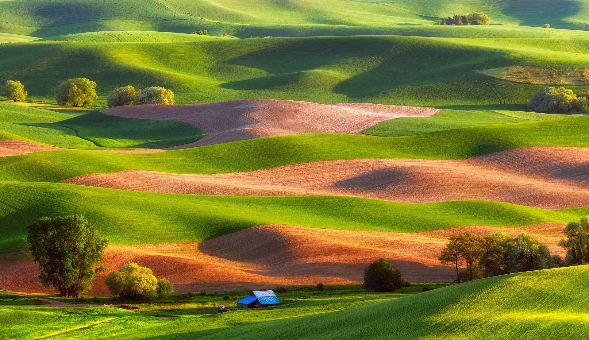 hills, field, 1080P, carpets, Steptoe Butte State Park, house, trees, USA, HD Wallpaper