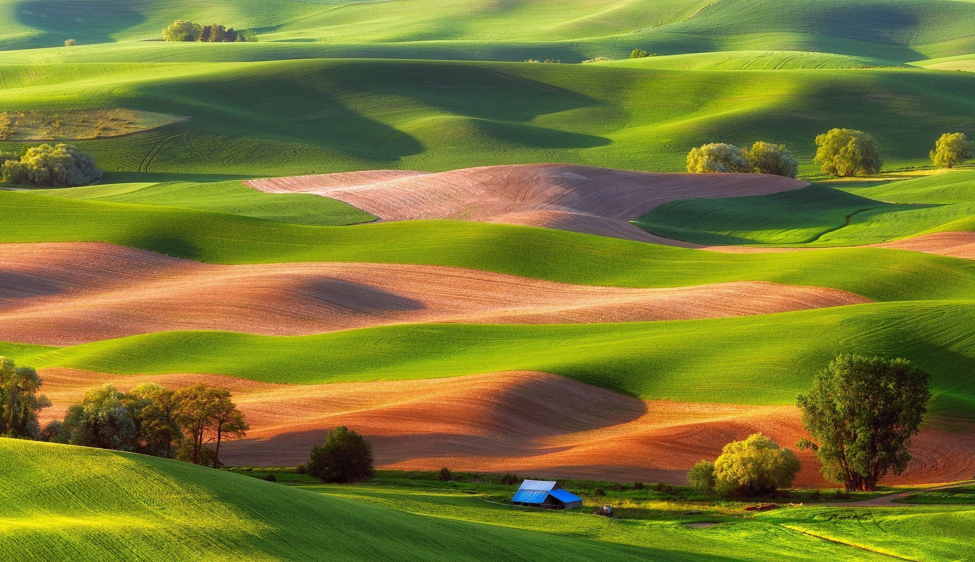golf course, usa landscape field steptoe butte state park hill nature green trees, field, no people, plant, scenics - nature, tranquility, green - golf course, HD Wallpaper