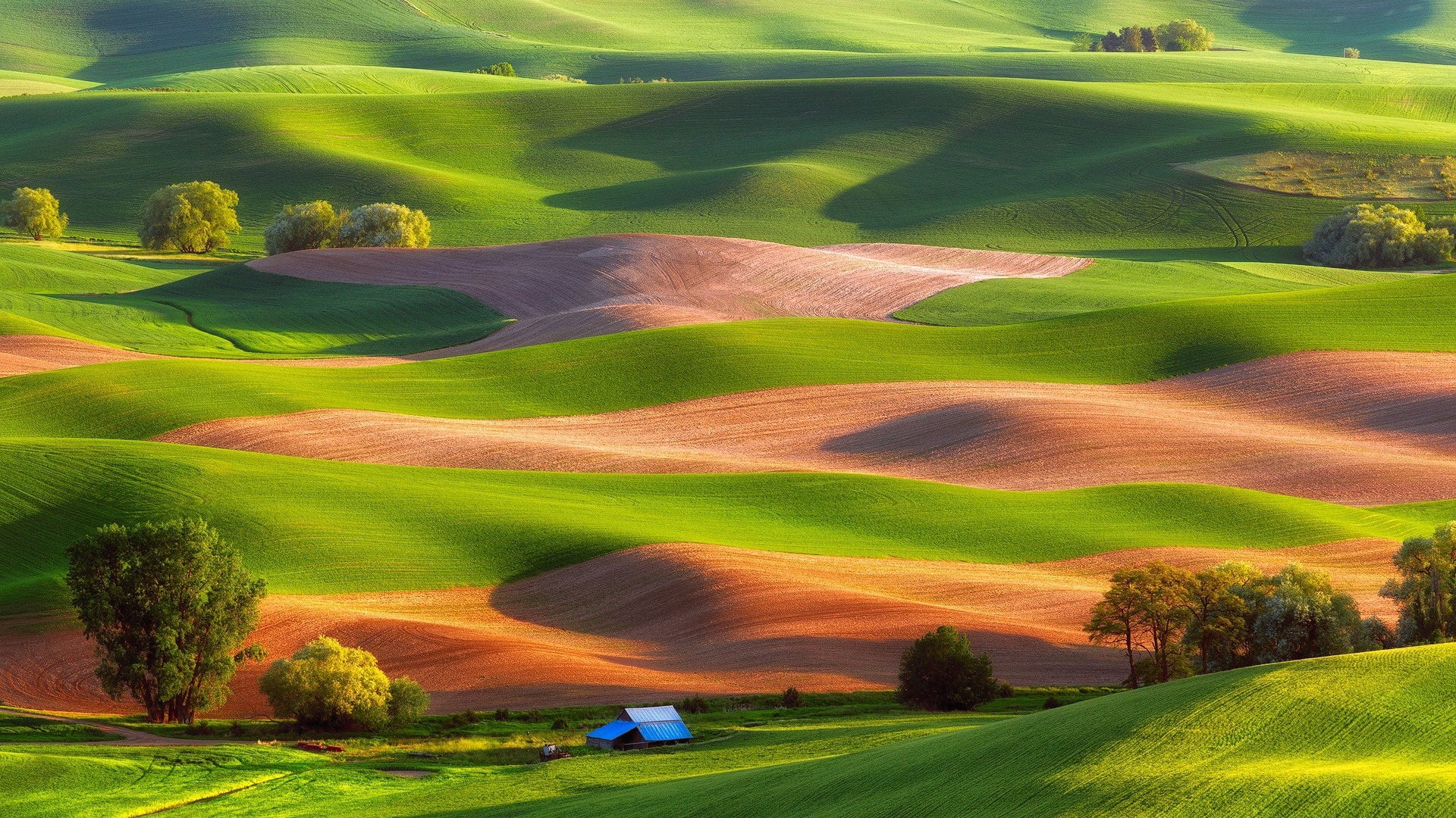 day, non-urban scene, hill, meadow, green - golf course, golf, tranquility, grassland, rural area, highland, no people, plant, steptoe butte state park, HD Wallpaper
