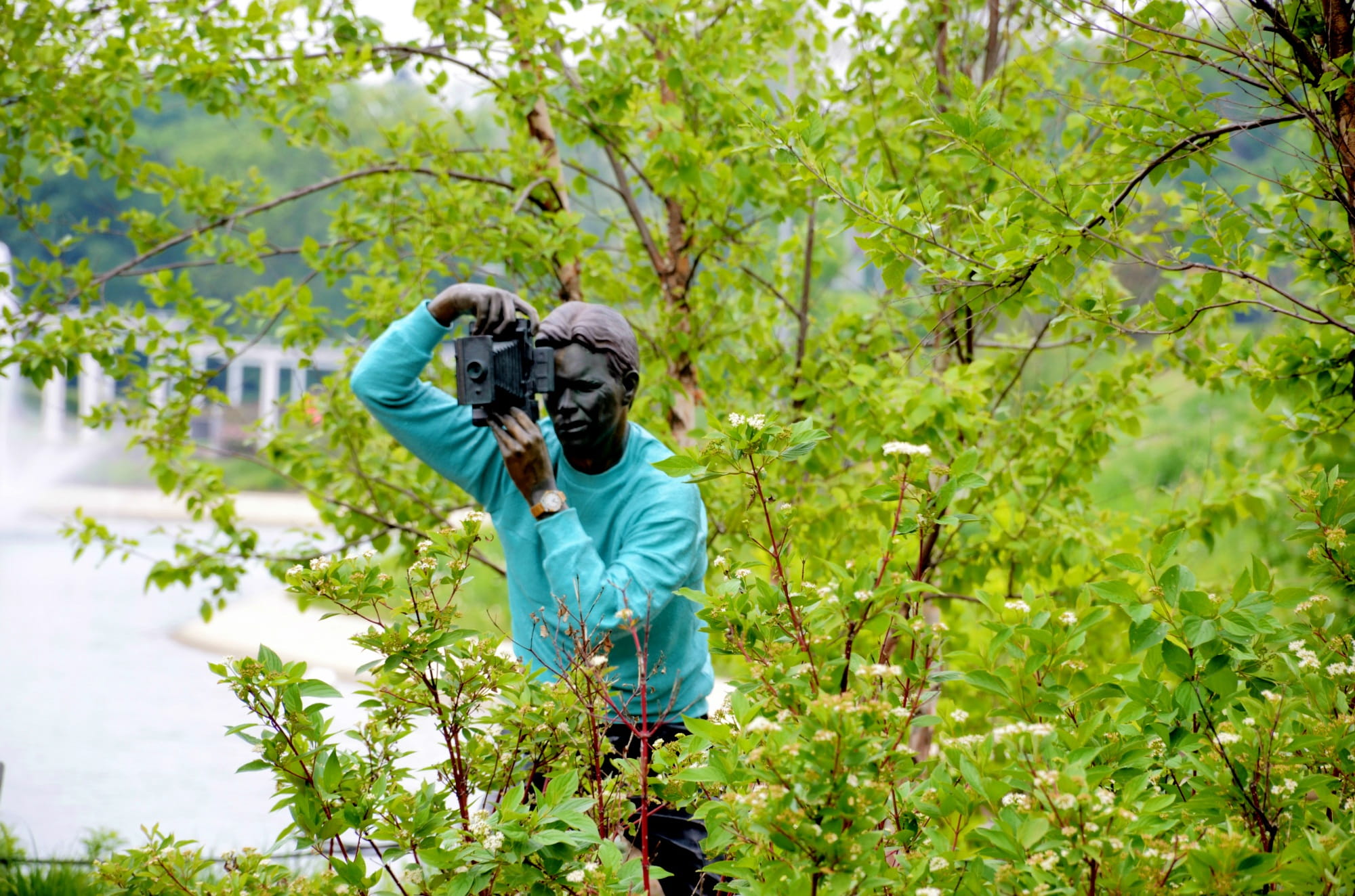 outdoors, picture, children only, child, leisure activity, water, green color, childhood, tree, photographing, statue, one boy only, nature, growth, one person, HD Wallpaper