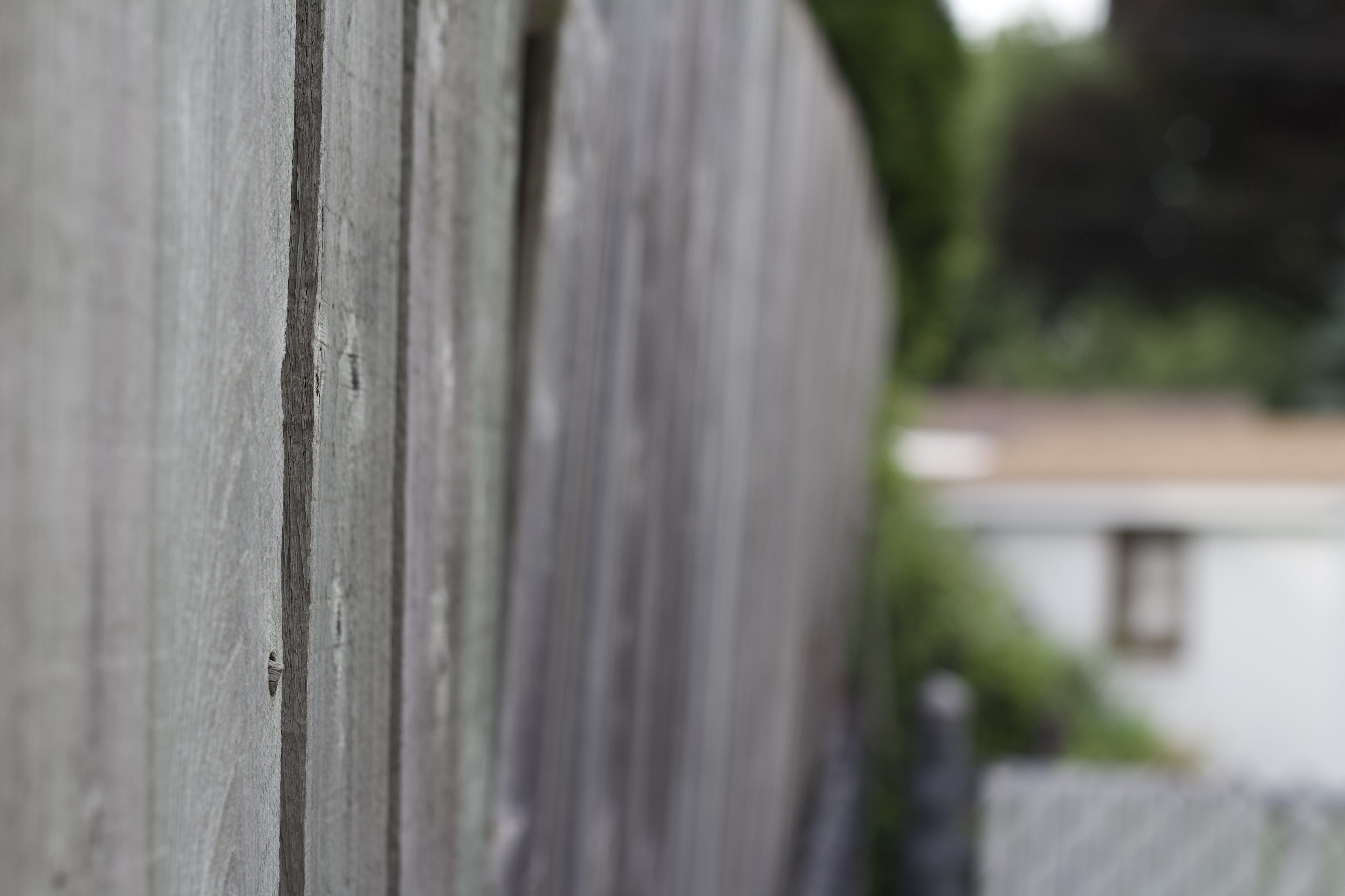 focus on foreground, textured, architecture, tree, security, day, nature, rockford, selective focus, pattern, outdoors, boundary, barrier, fence, plant, HD Wallpaper