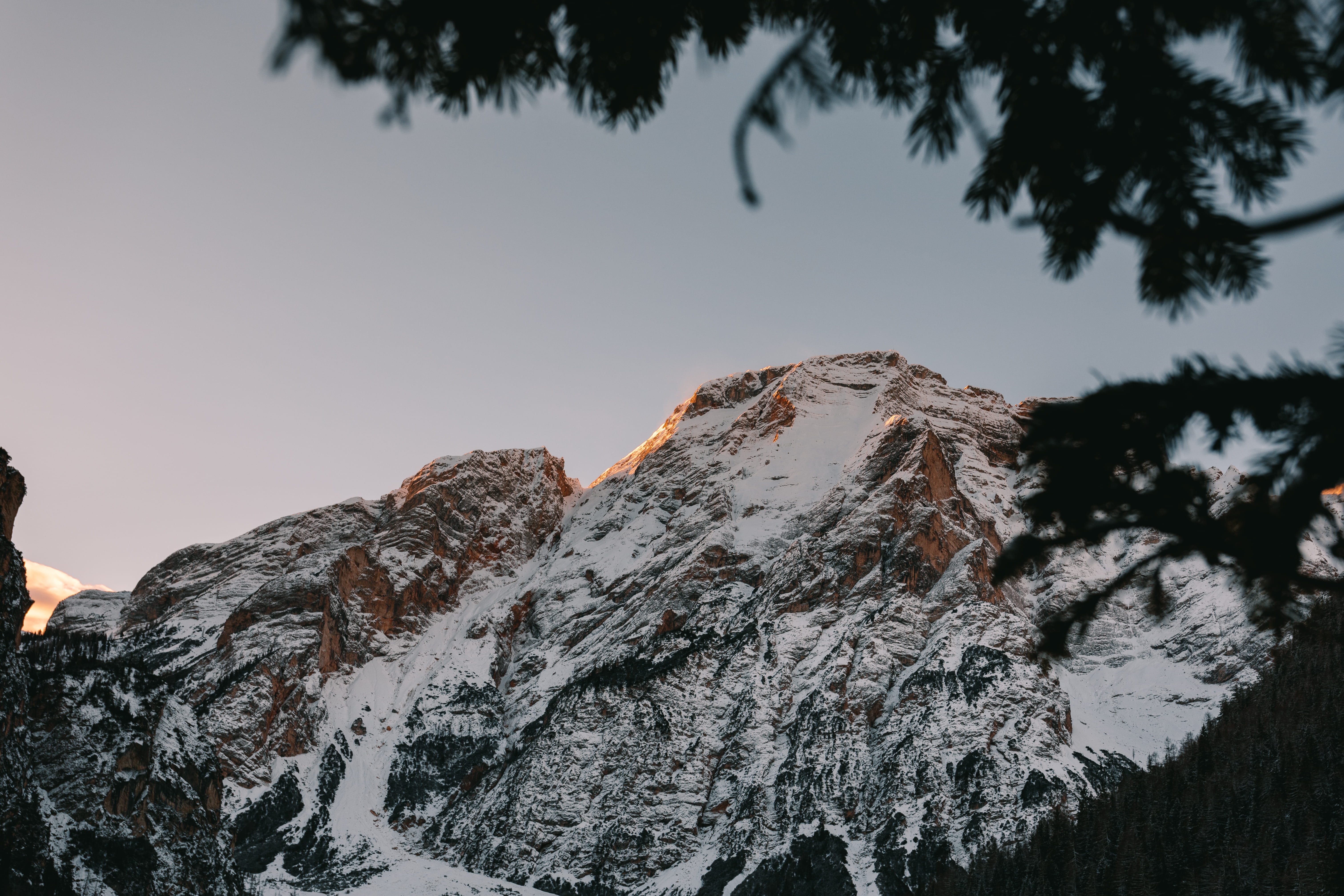 scenic, plant, tranquil scene, cold temperature, slope, sky, coniferous tree, day, tranquility, peak, mountain, skiing, 5K, white, snowcapped mountain, HD Wallpaper