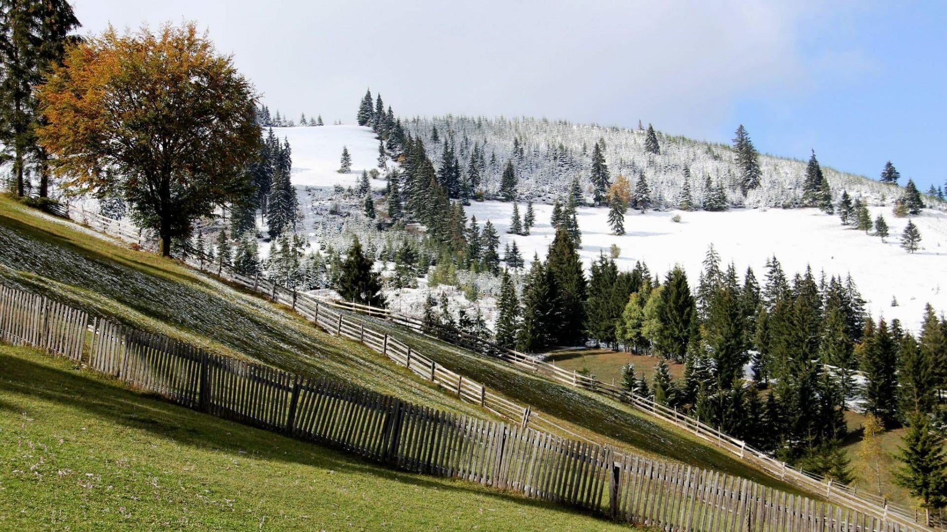 outdoors, snow, fence, sky, field, 1080P, pines, tranquil scene, railing, tree, tranquility, growth, grass, green color, built structure, hills, no people, HD Wallpaper