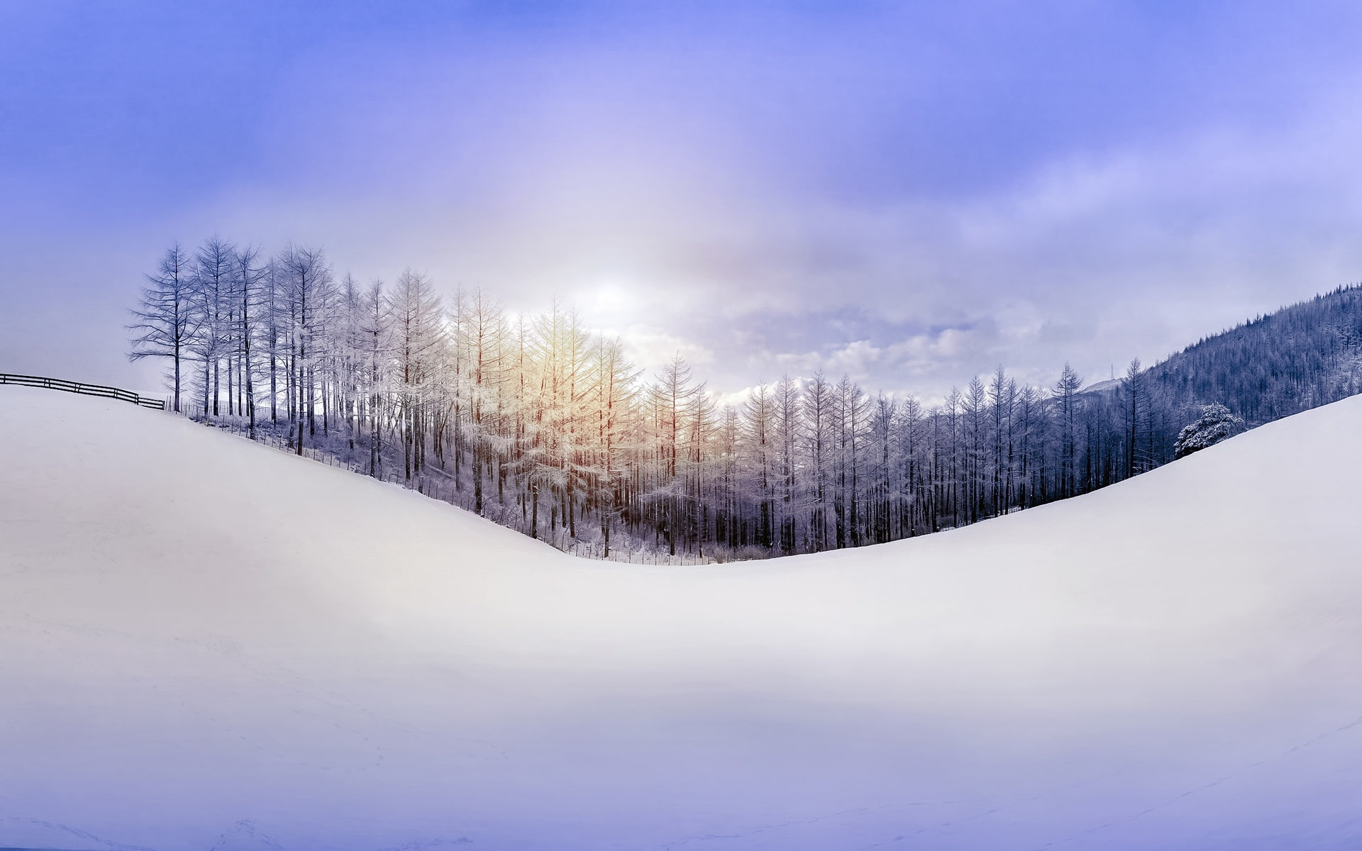 Winter, 1080P, Forest, Hill, Sky, Snow, Sun, Nature, Rays, HD Wallpaper
