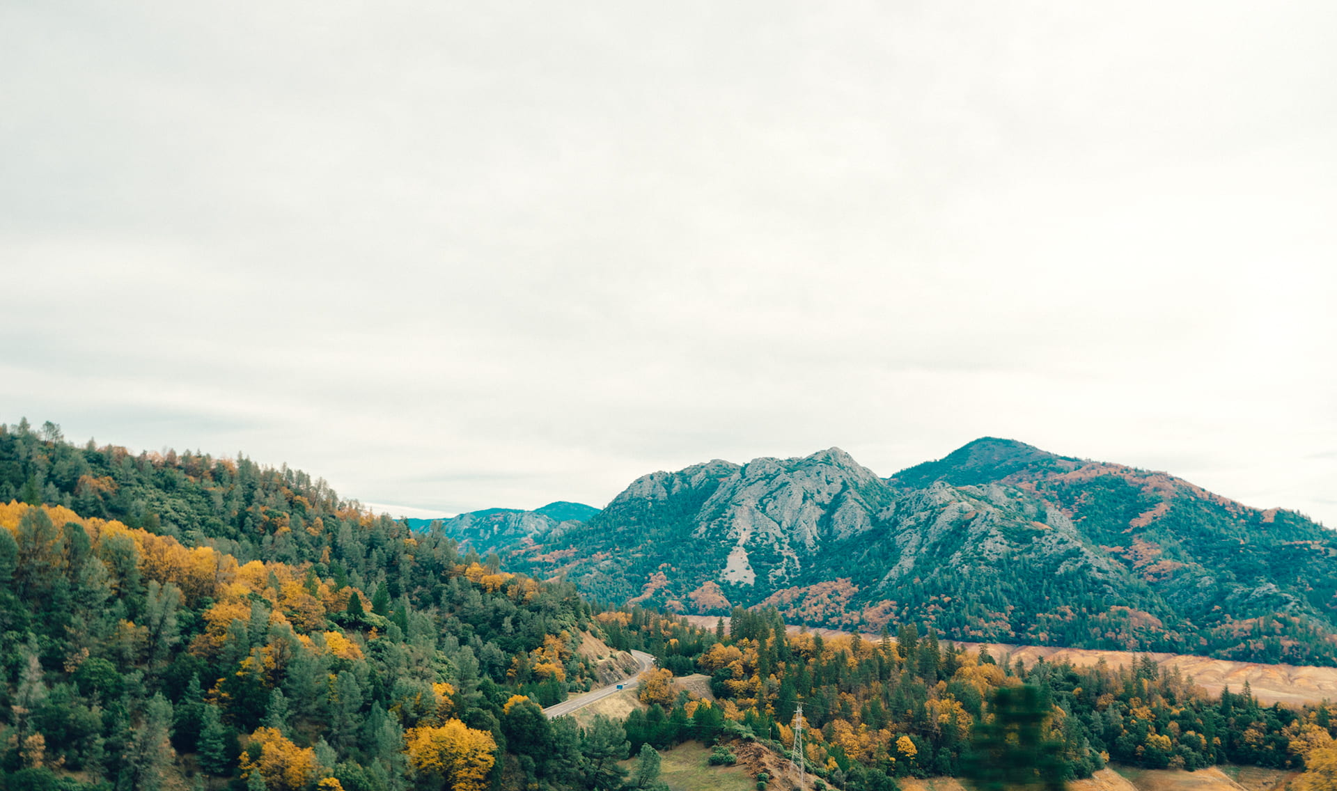 no people, tranquility, beauty in nature, outdoors, mountains, non-urban scene, pine woodland, 1080P, woodland, day, mountain, pine tree, landscape, hills, HD Wallpaper