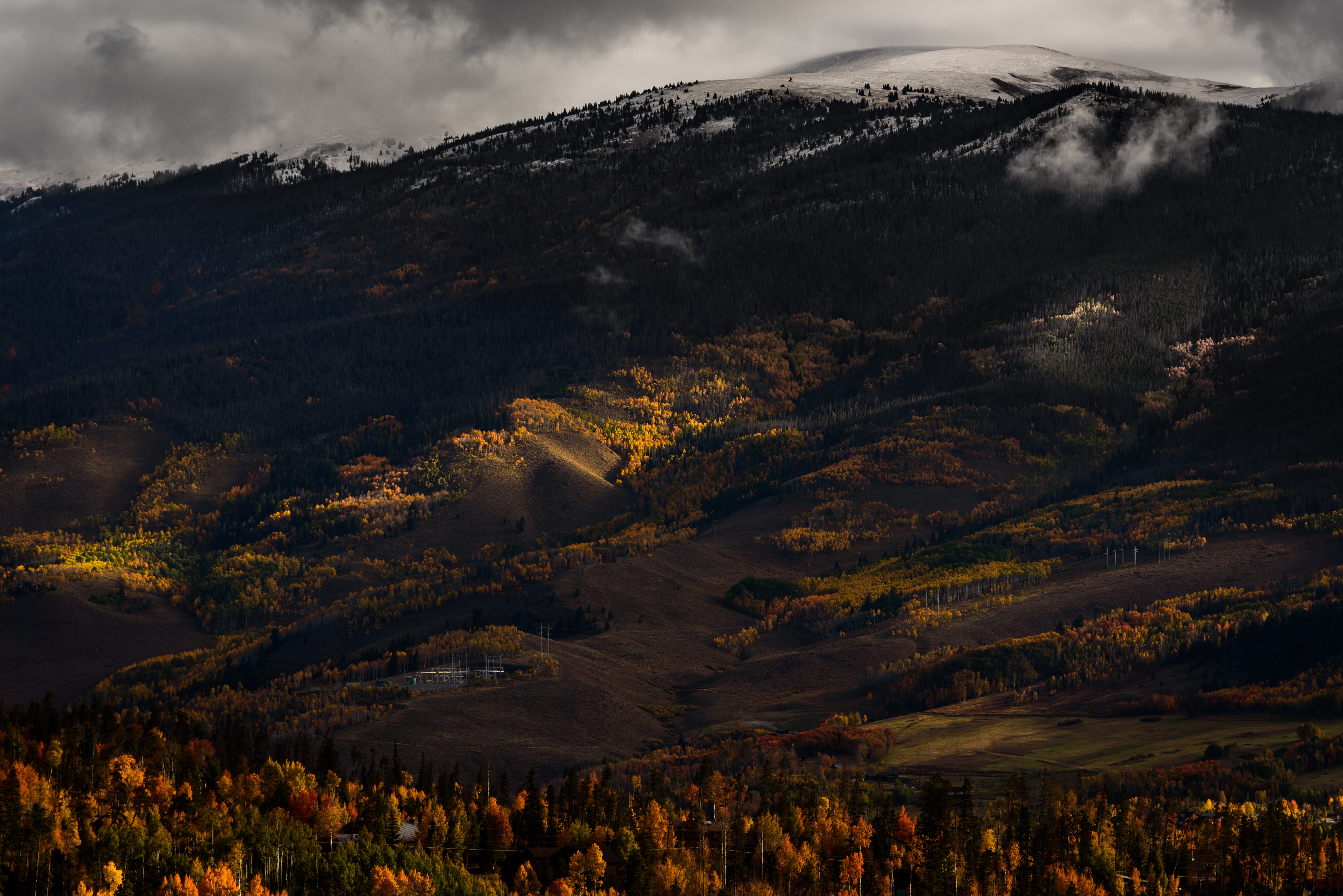 plant, trees, cloud - sky, color Image, 5K, outdoors, hill, sky, tranquil scene, mountain Range, coniferous tree, mountain peak, green, landscape, autumn, HD Wallpaper