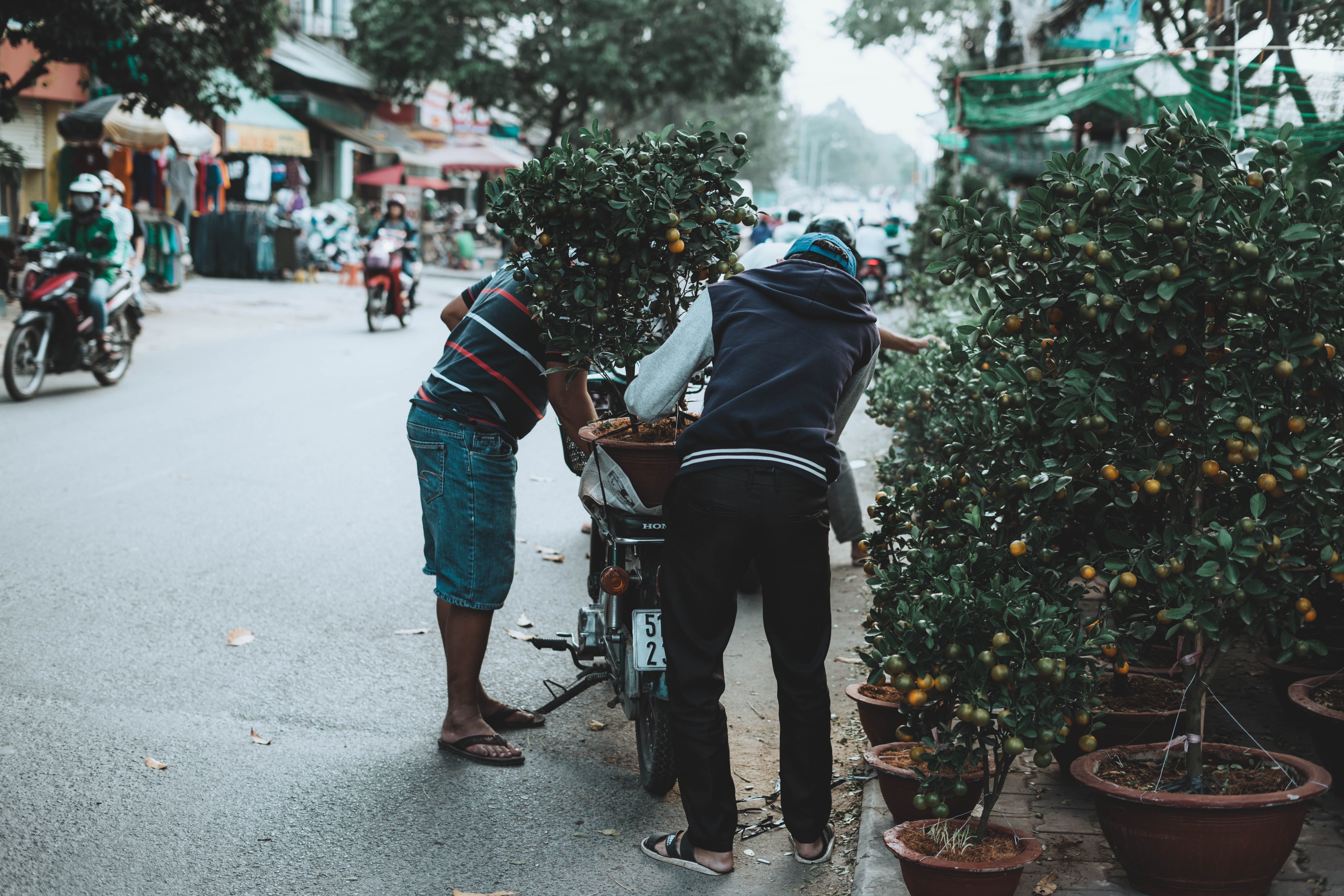 two people, jacket, beside, men, street, people, adult, male, positive emotion, full length, green, letterman, real people, city, plants, leafed, nature, HD Wallpaper