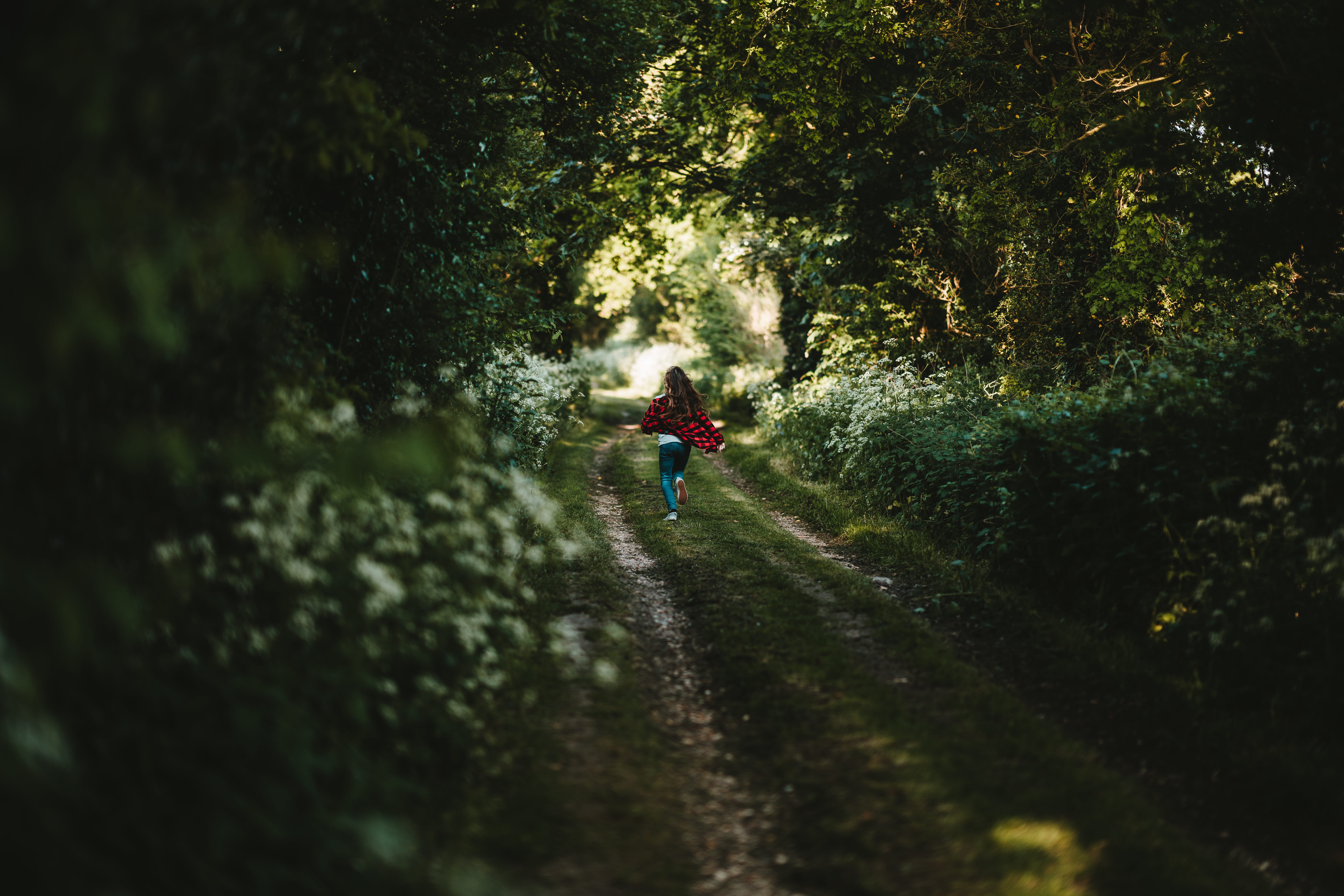 garden, direction, child, beauty in nature, fun, tree, grass, woman, forest, kid, shirt, selective focus, the way forward, sunlight, footpath, growth, shadow, HD Wallpaper