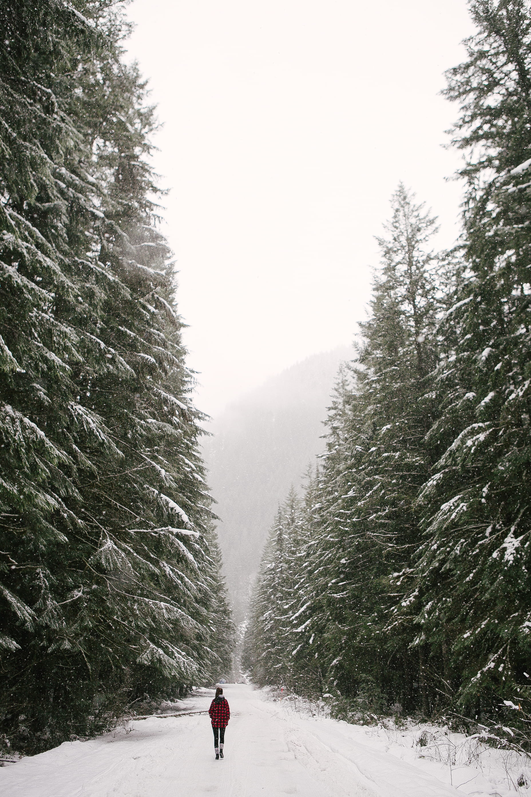 sky, warm clothing, snow, snowy, road, red, person, 2K, forest, tree, leisure activity, adult, men, trees, covered, real people, pine trees, nature, scenics - nature, Phone HD Wallpaper