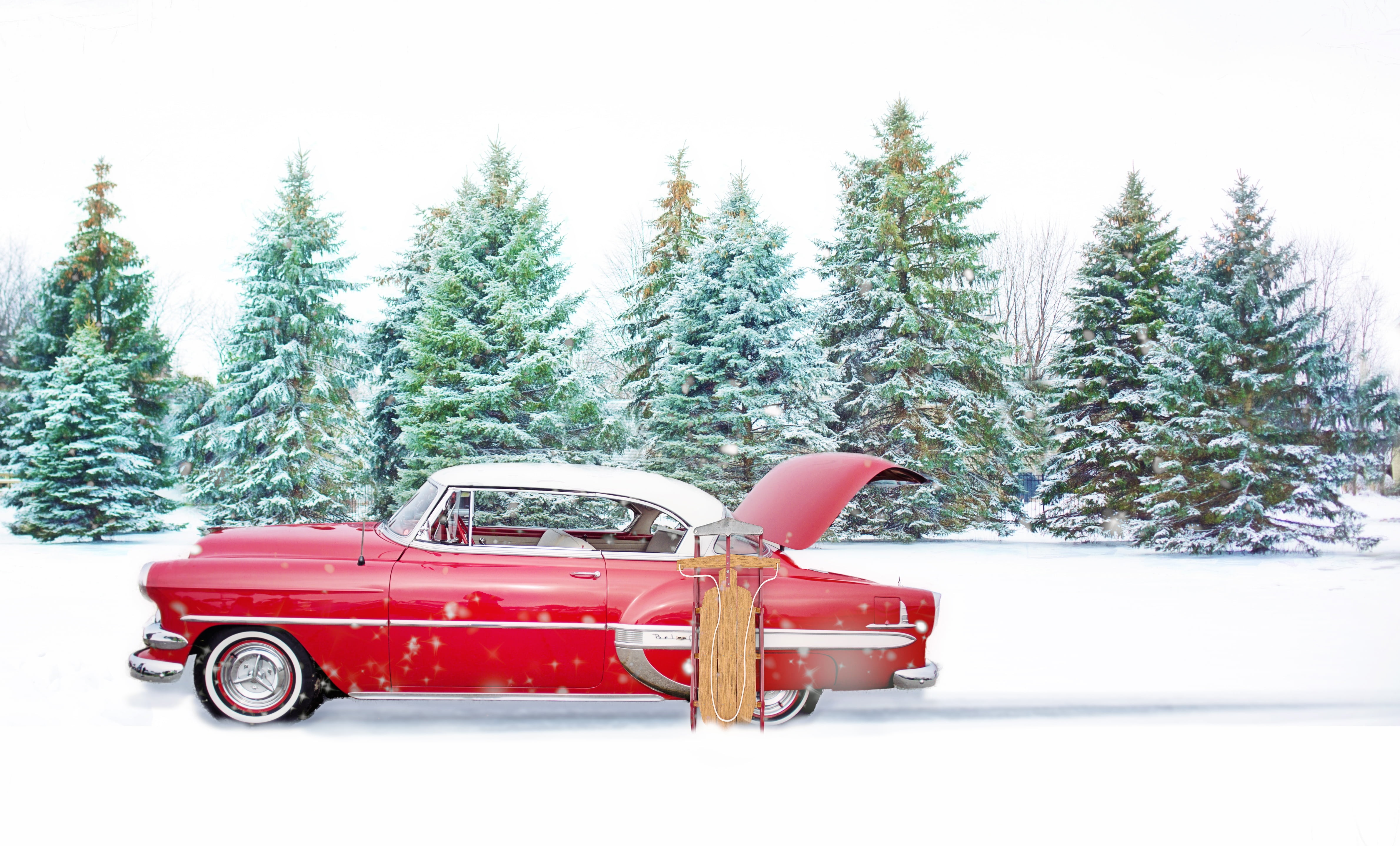 pine tree, coniferous tree, december, pines, classic, weather, christmas tree, forest, day, holiday, celebration, land, red vintage car, vintage, pine, HD Wallpaper