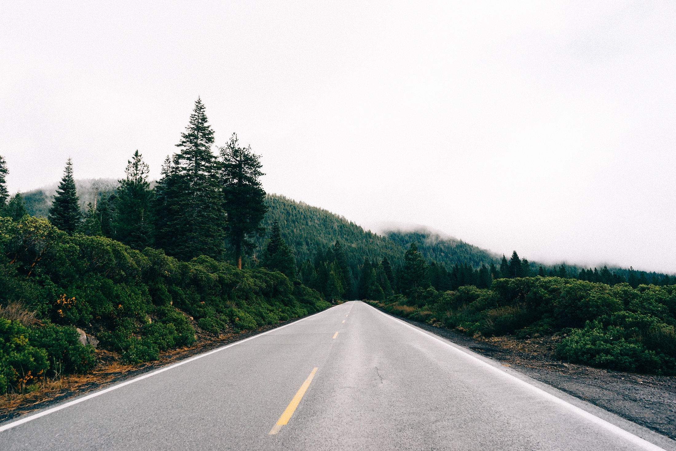 fog, beauty in nature, journey, foggy, sky, marking, outdoors, landscape, nature, drive, grey, grass, road, non-urban scene, plant, trees, asphalt, transportation, HD Wallpaper