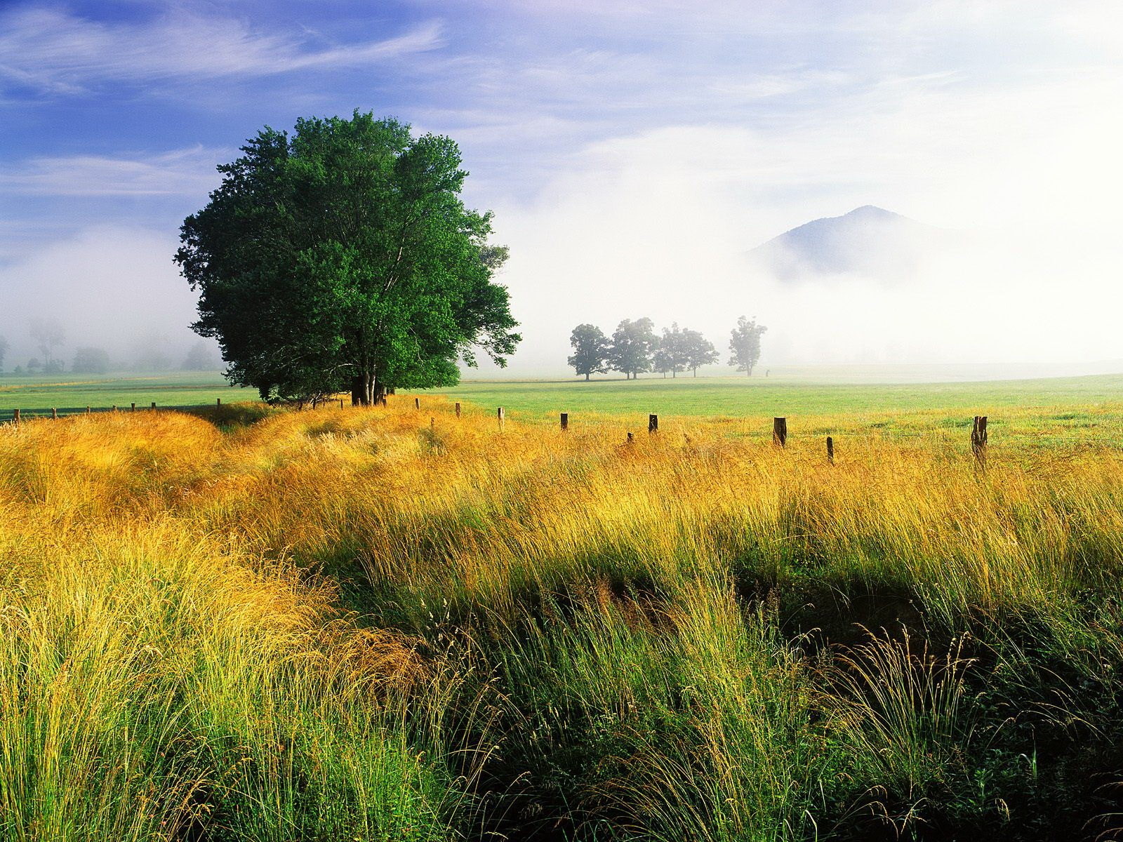 720P, plains, HD Wallpaper