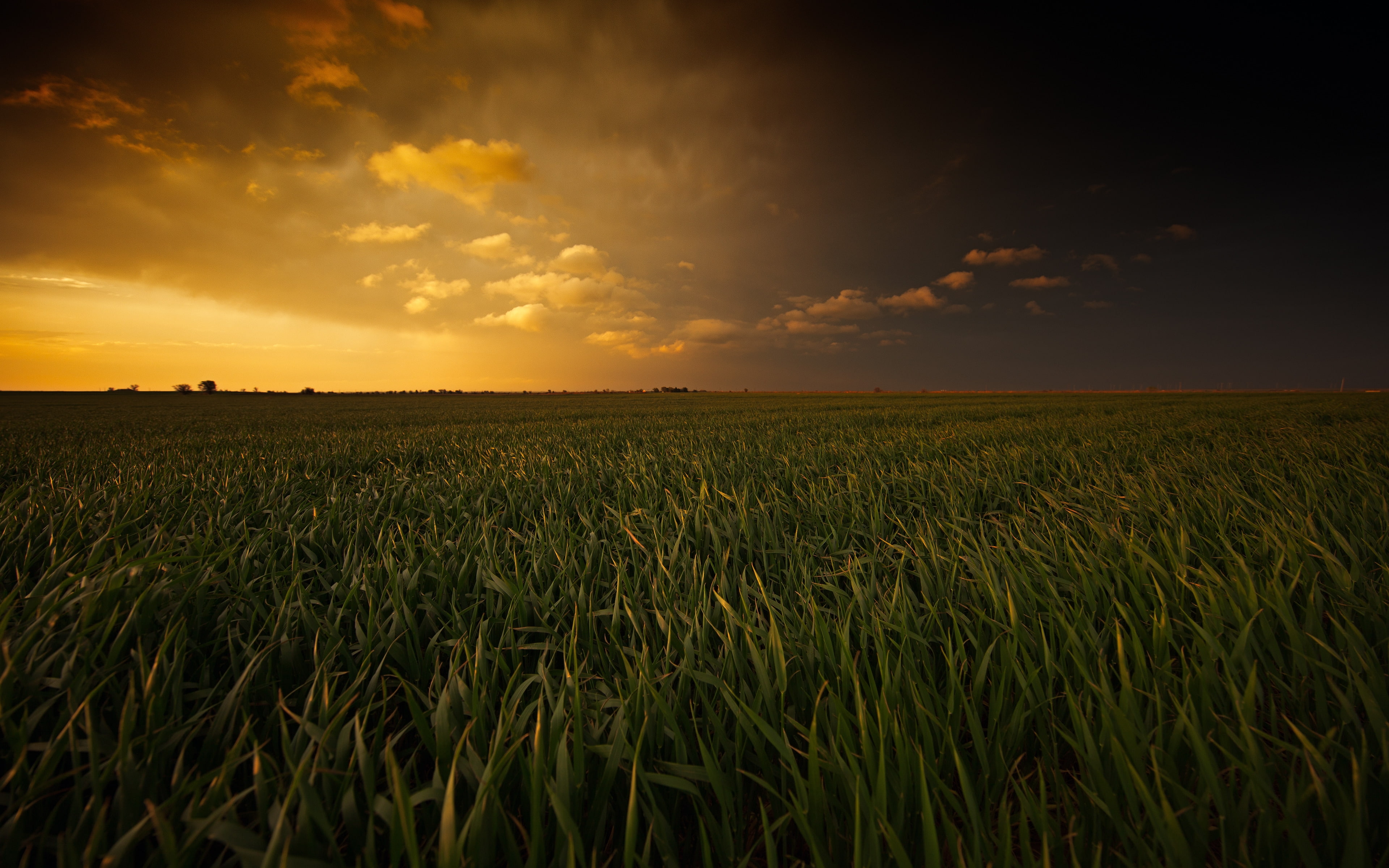 grass, 4K, stormy, fields, sky, plains, sunset, painted, landscape, HD Wallpaper