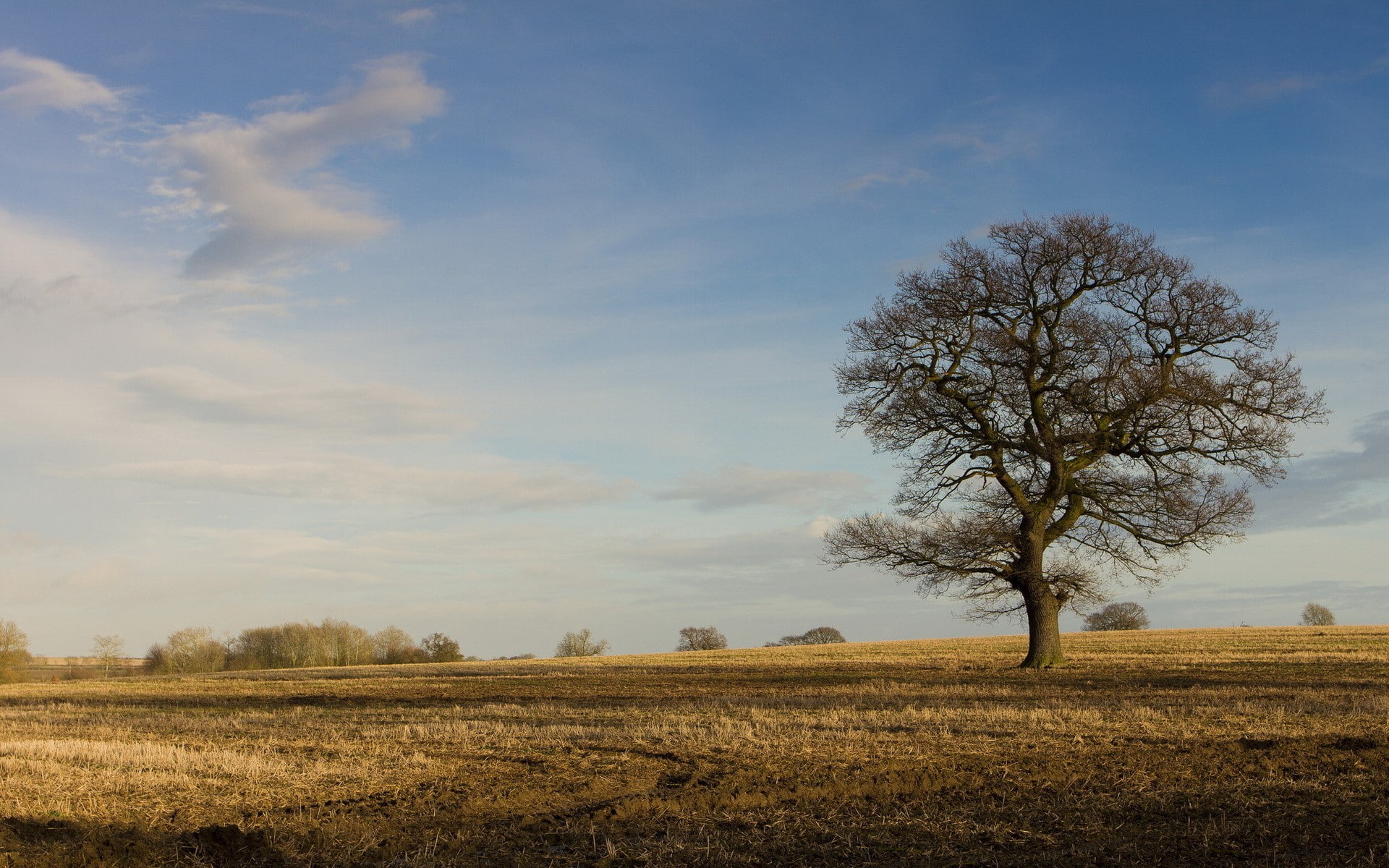 field, 1080P, plains, landscape, photography, HD Wallpaper