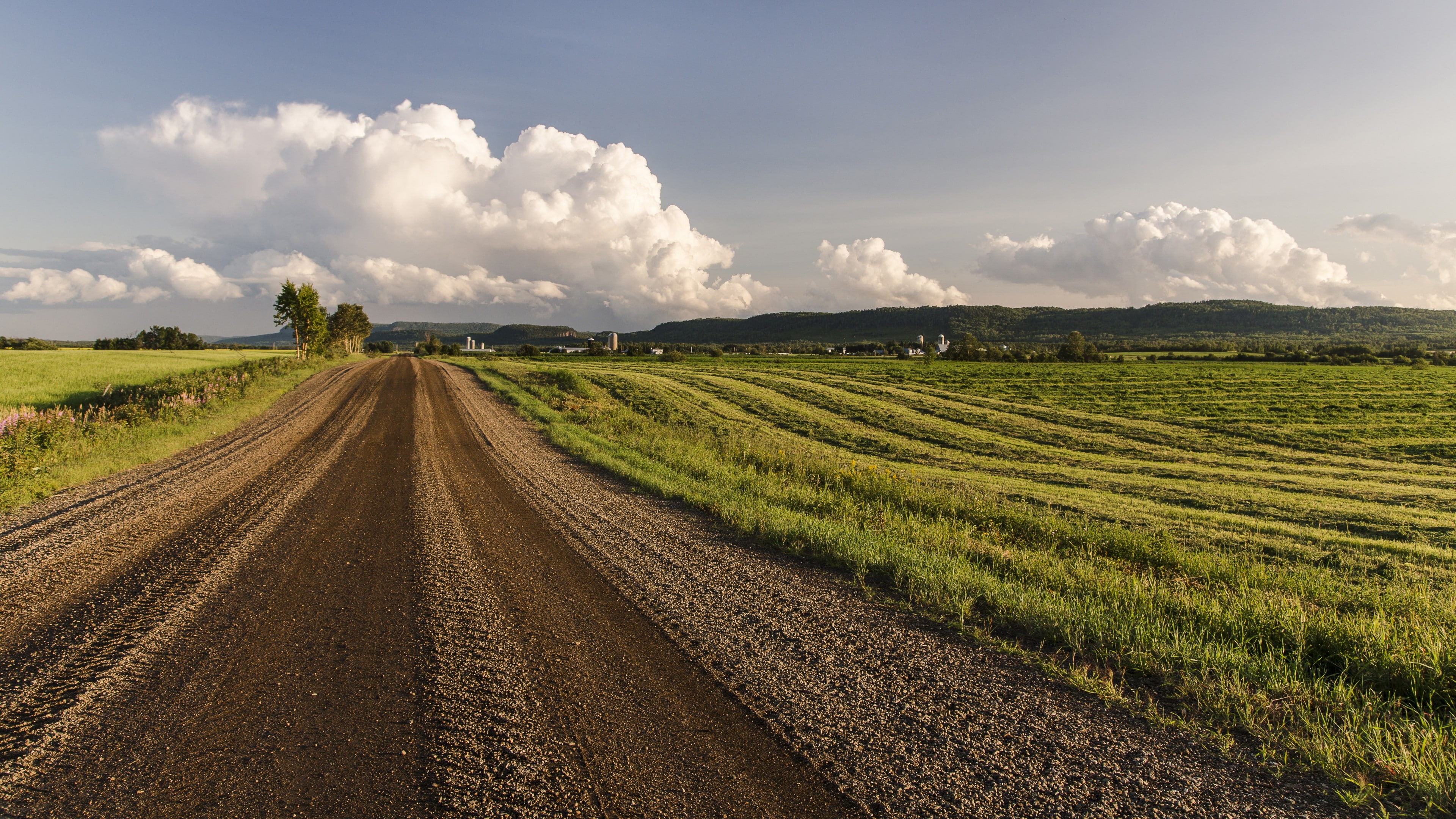 landscape, field, dirt road, 4K, hills, plains, HD Wallpaper