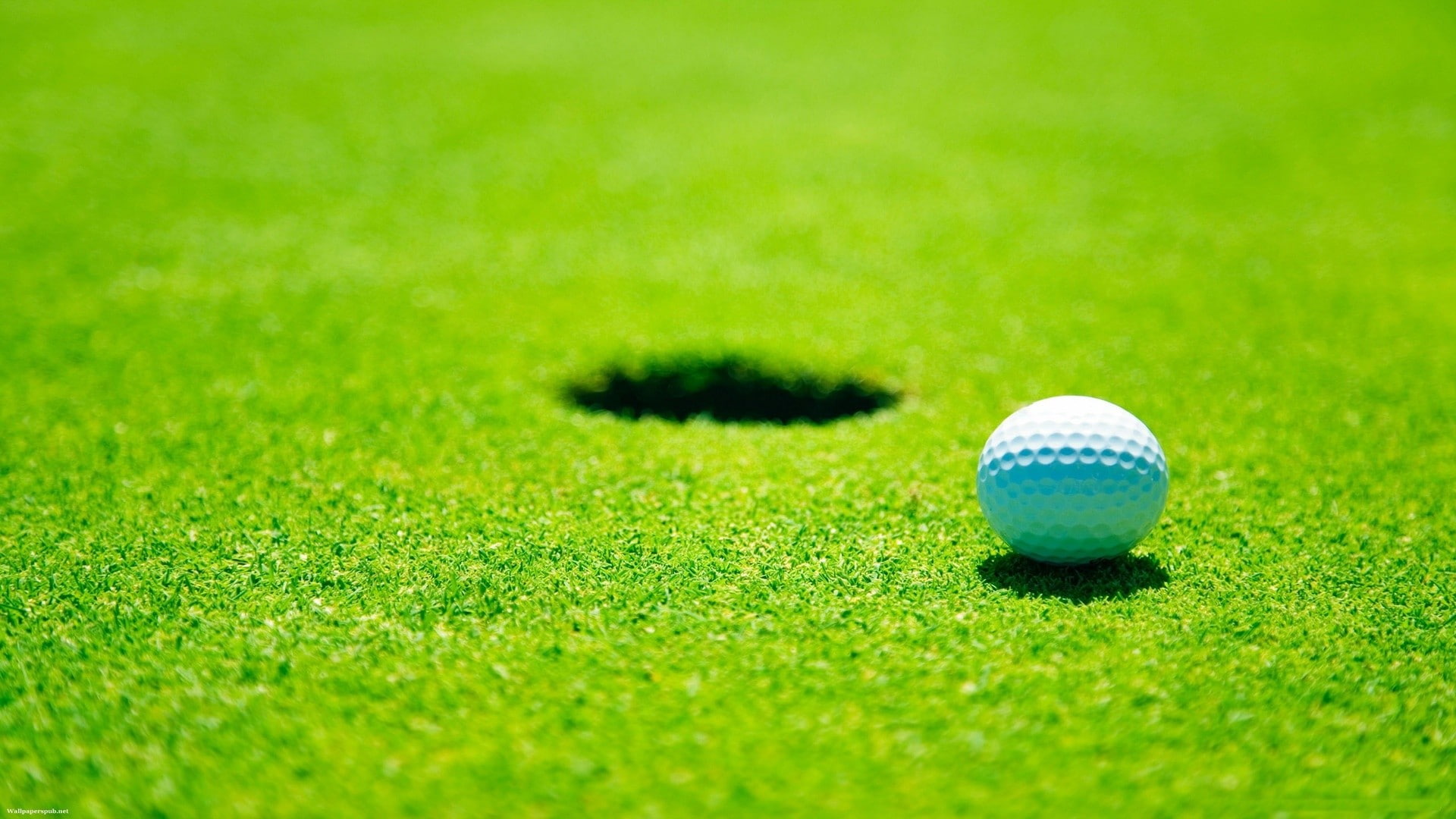 golf, 1080P, green, sport, field, HD Wallpaper